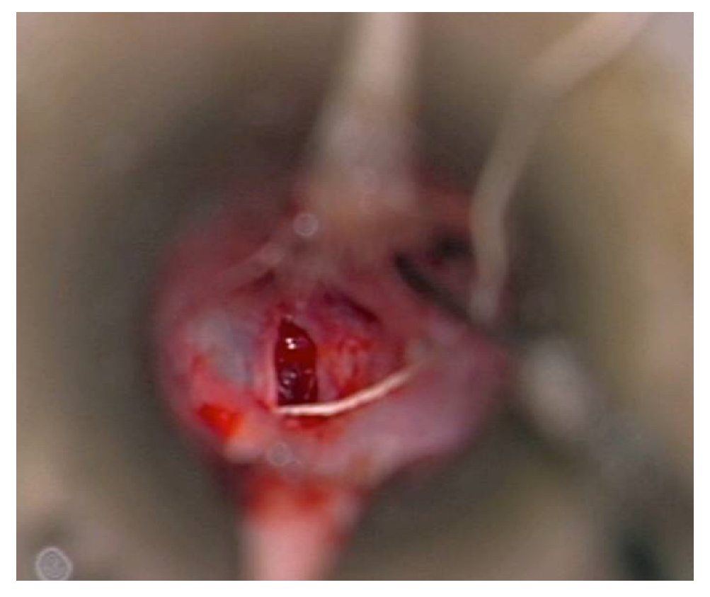 Brainsci 12 00950 g001