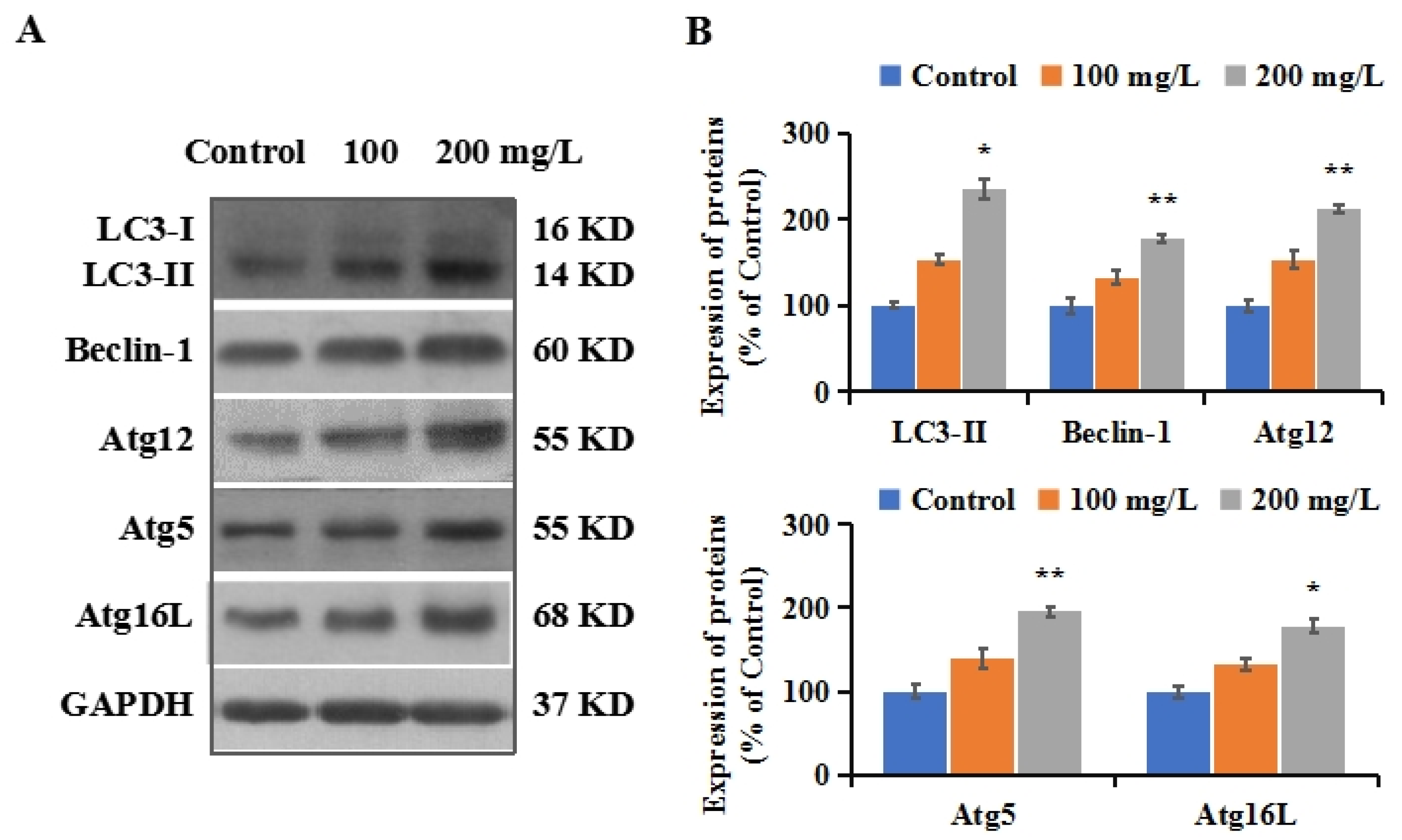 Brainsci 12 00952 g003