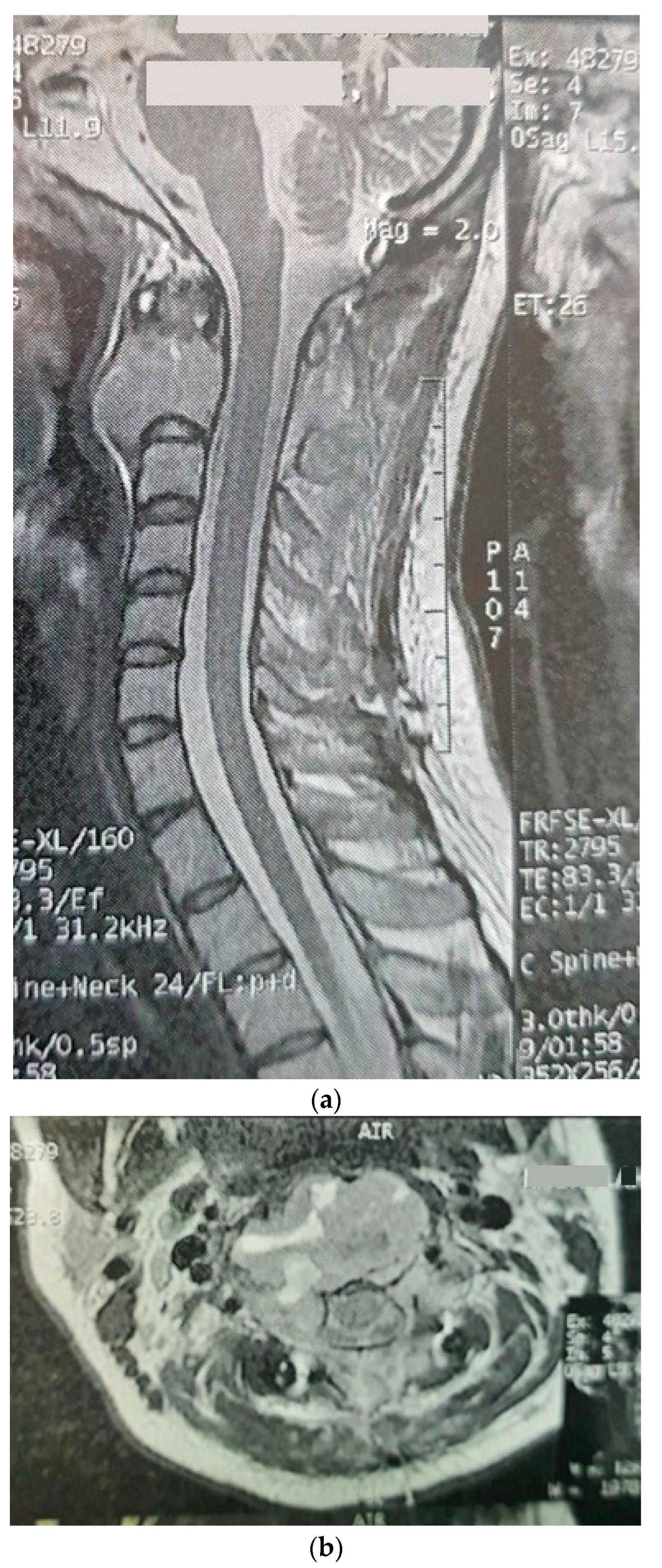 Brainsci 12 00958 g001