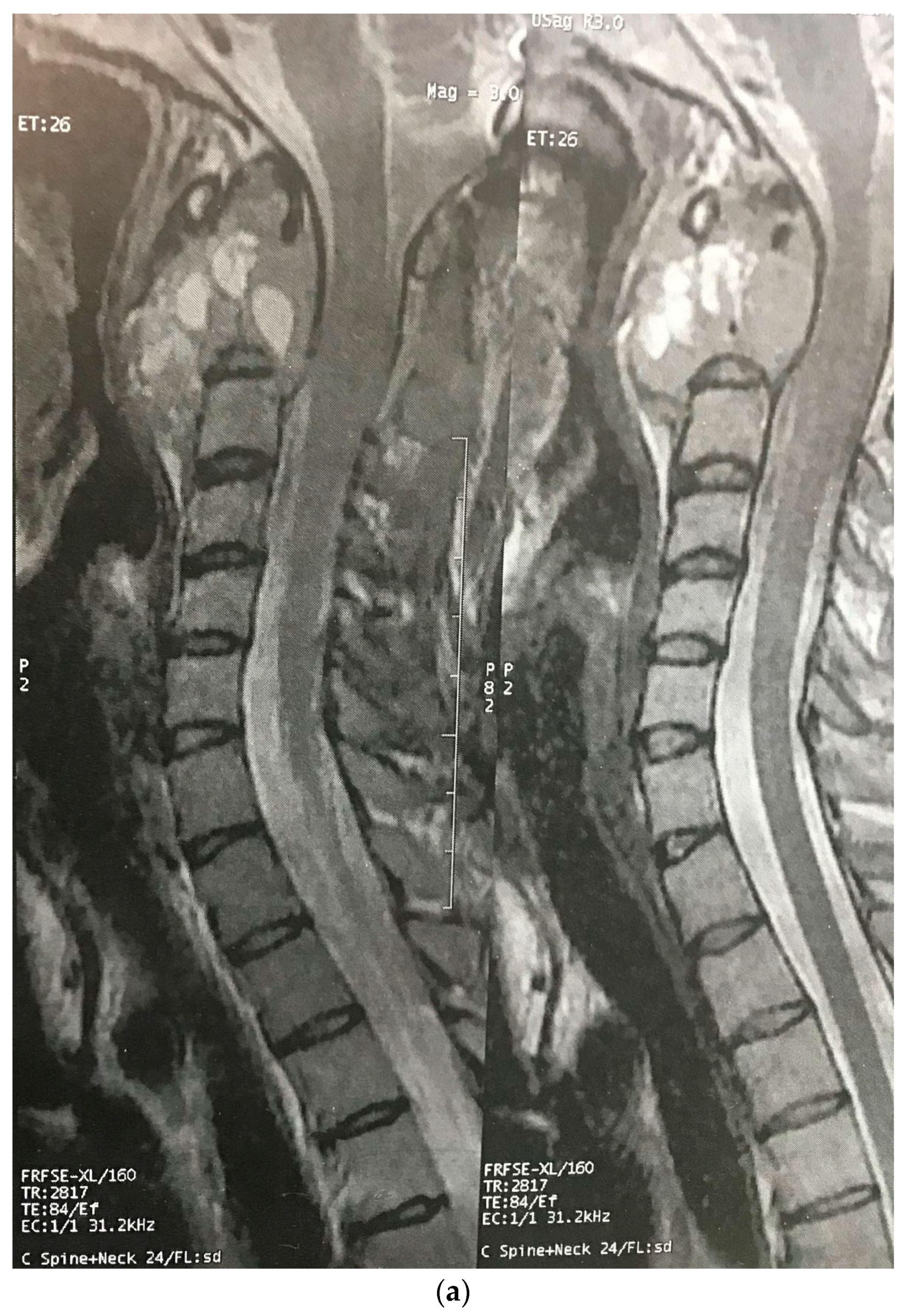 Brainsci 12 00958 g002a