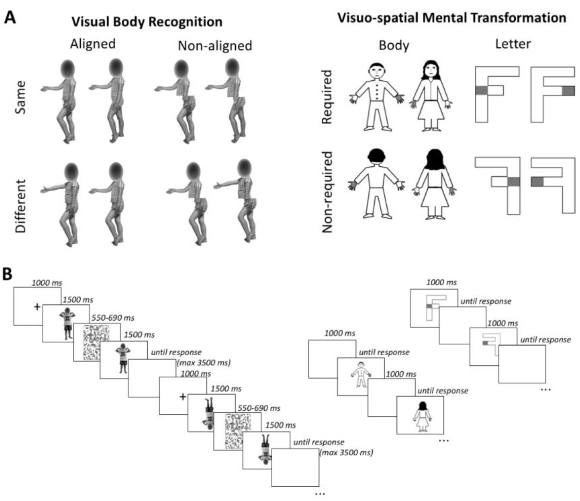 Brainsci 12 00962 g001 Brainsci 12 00962 g001