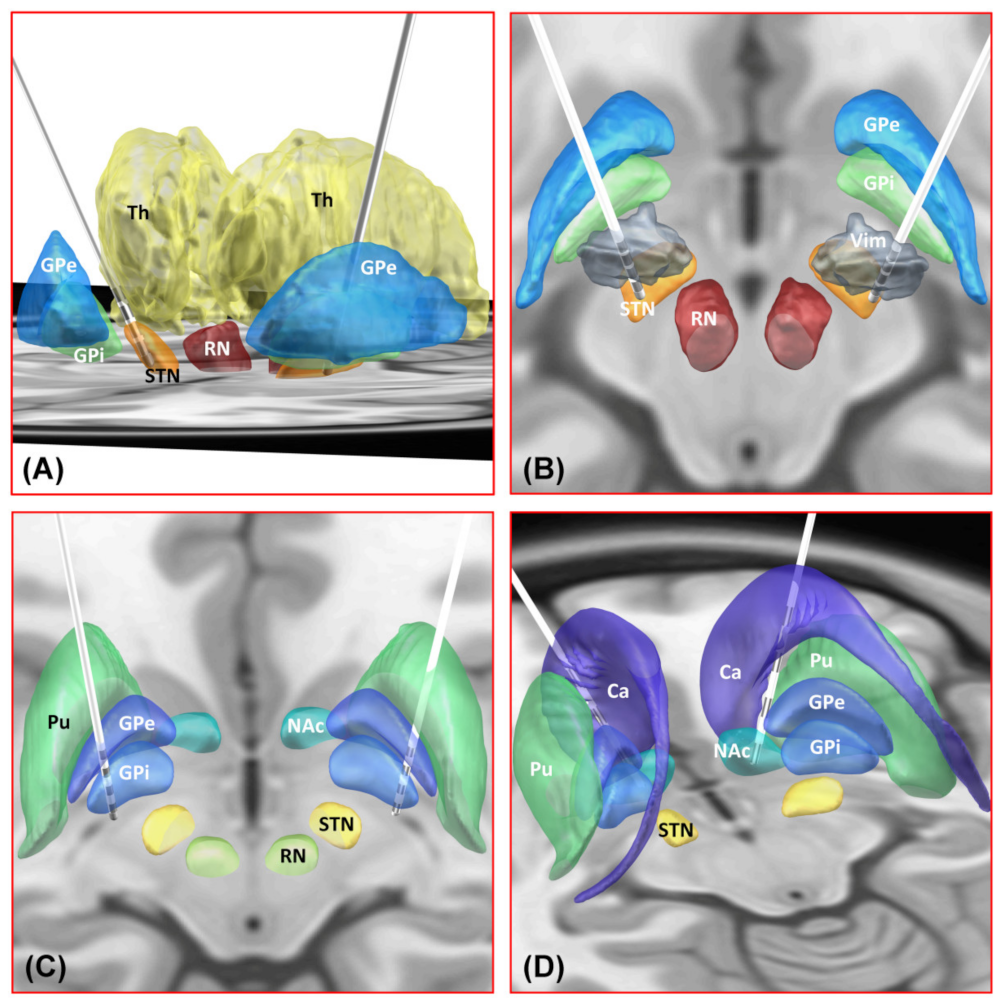 Brainsci 12 00967 g004