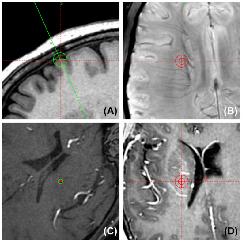 Brainsci 12 00967 g007