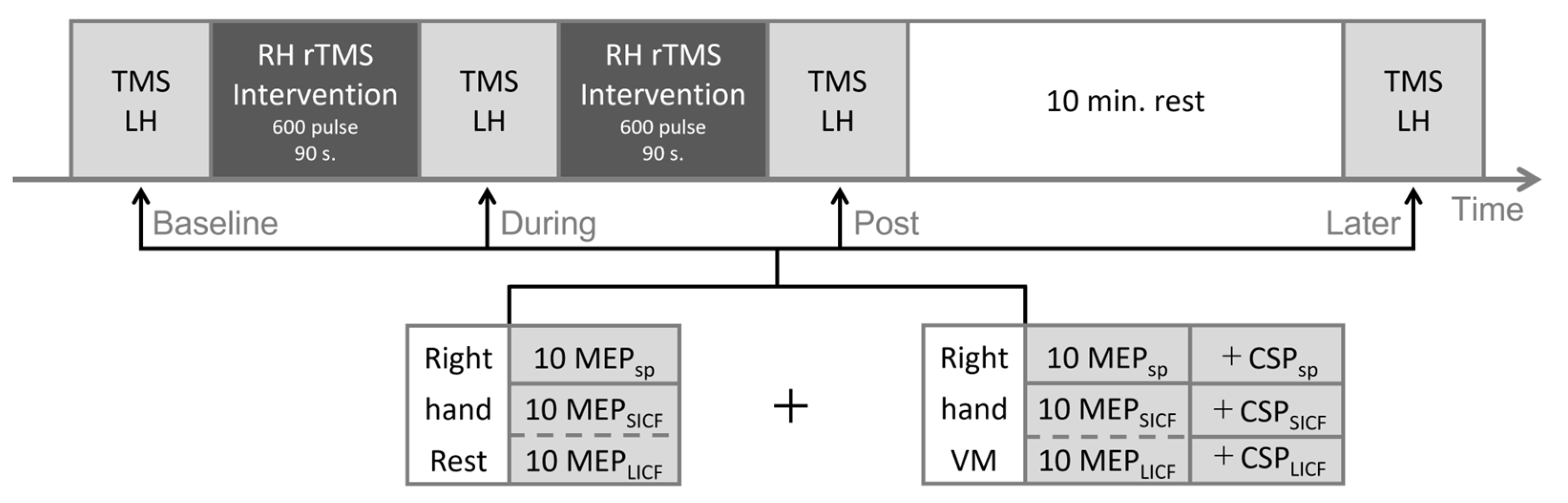 Brainsci 12 00970 g001 550