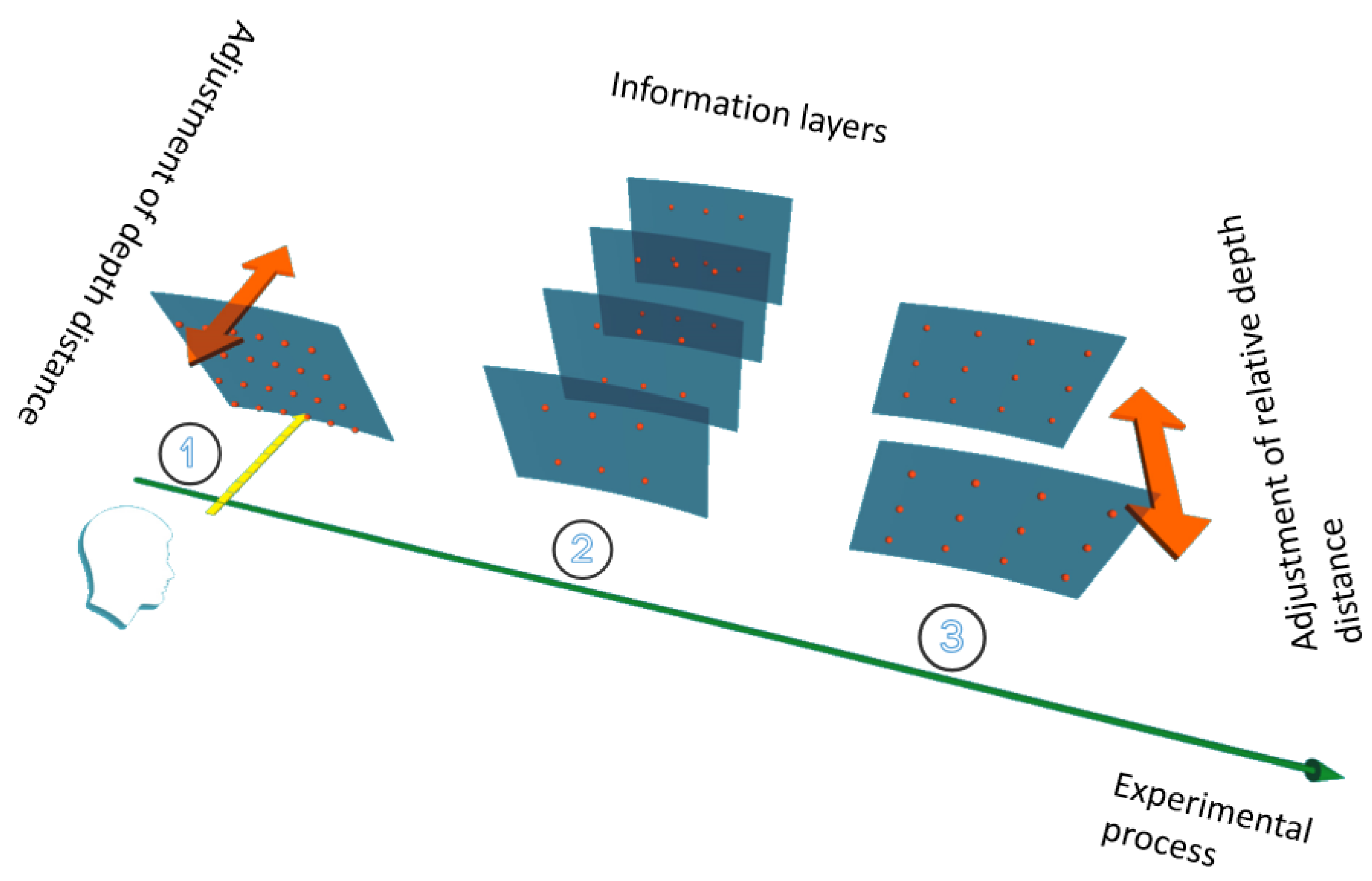 Brainsci 12 00971 g001