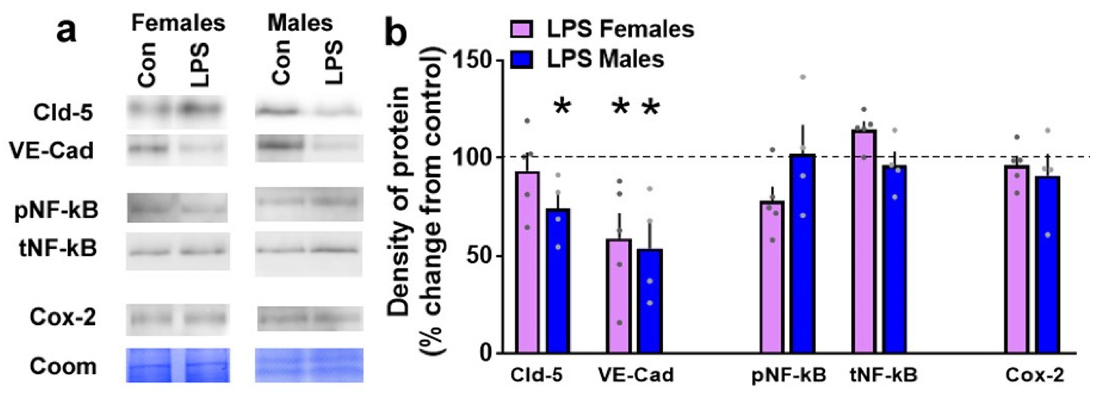 Brainsci 12 00972 g008 550
