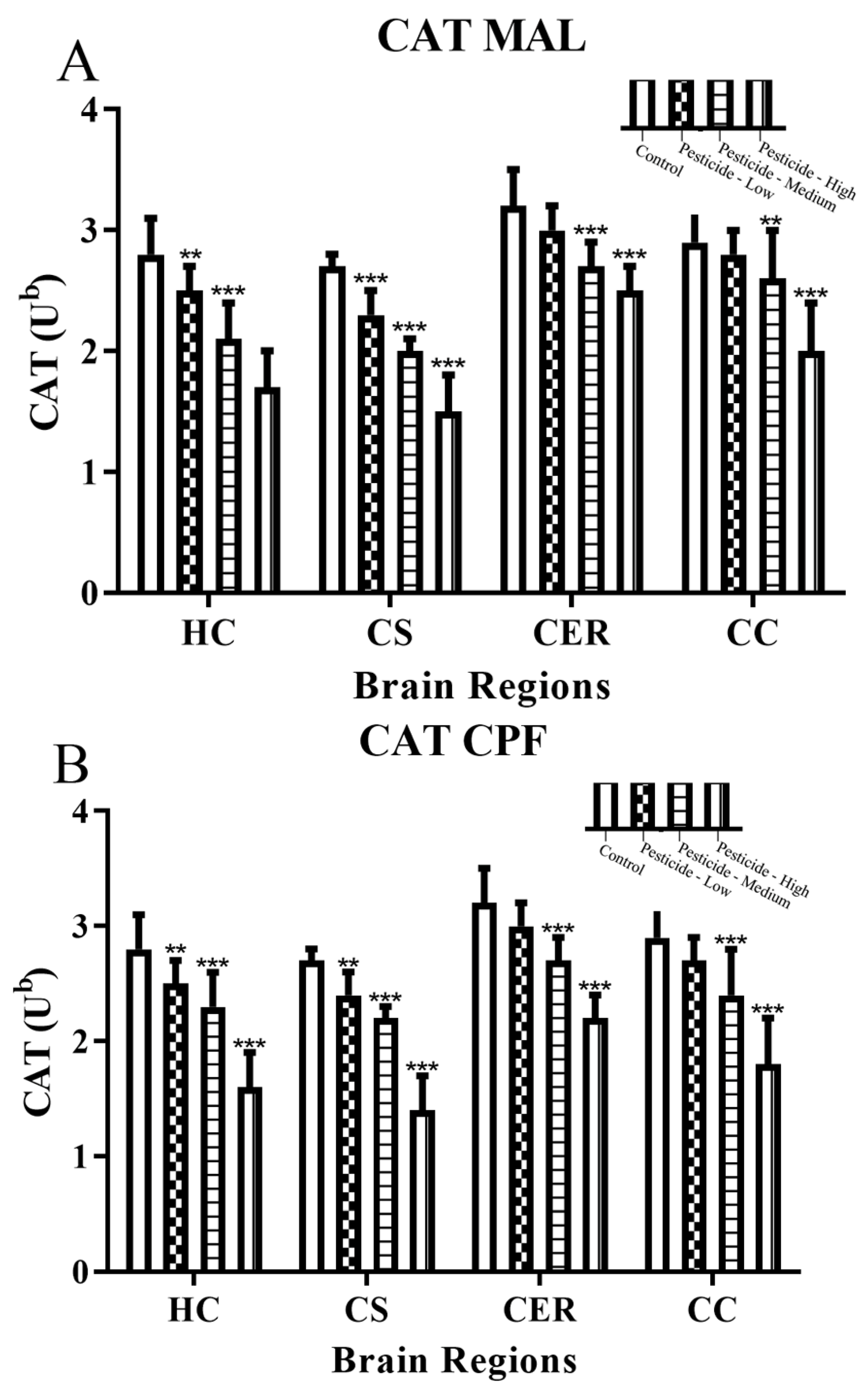 Brainsci 12 00975 g005a 550