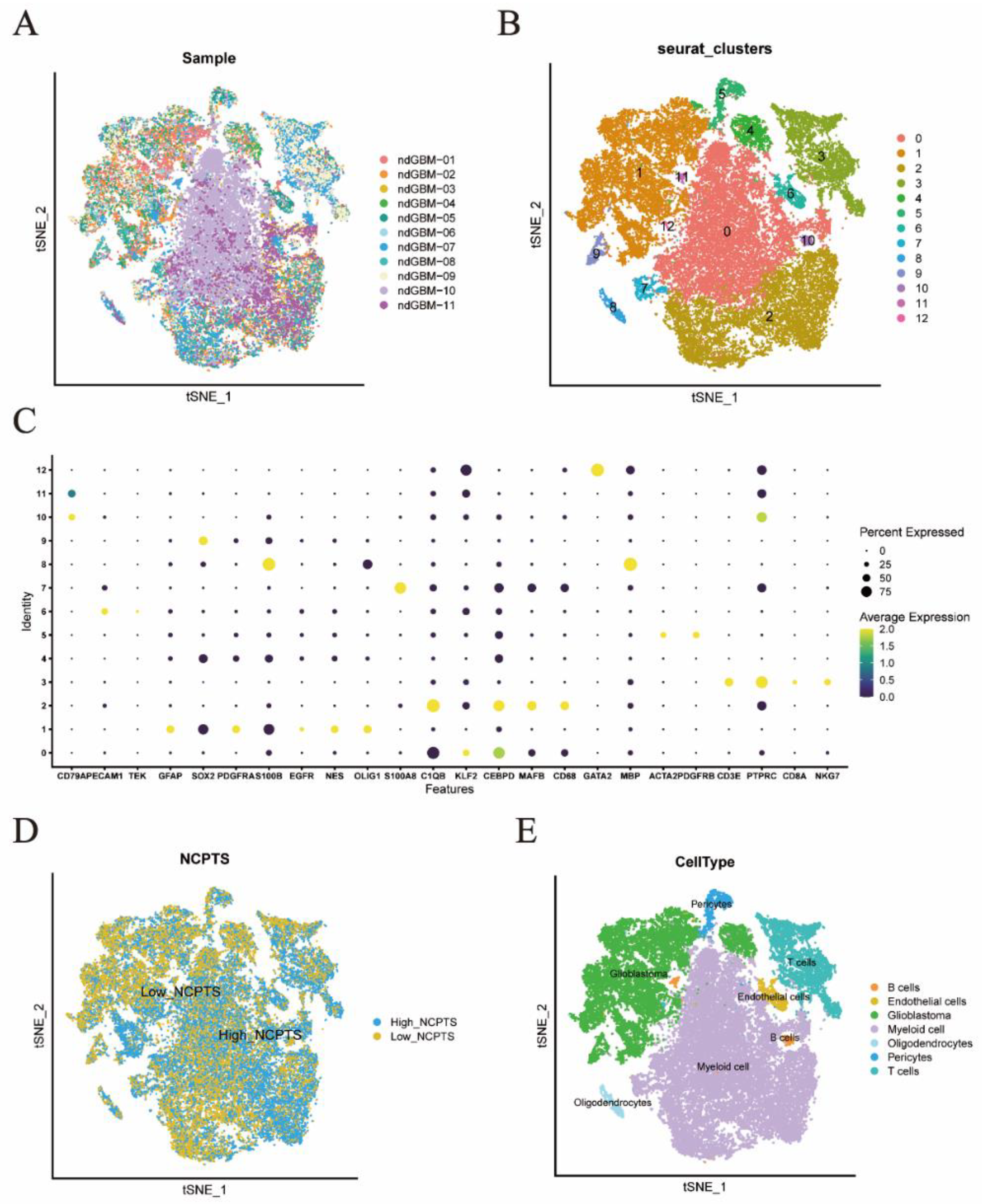 Brainsci 12 00988 g002 550