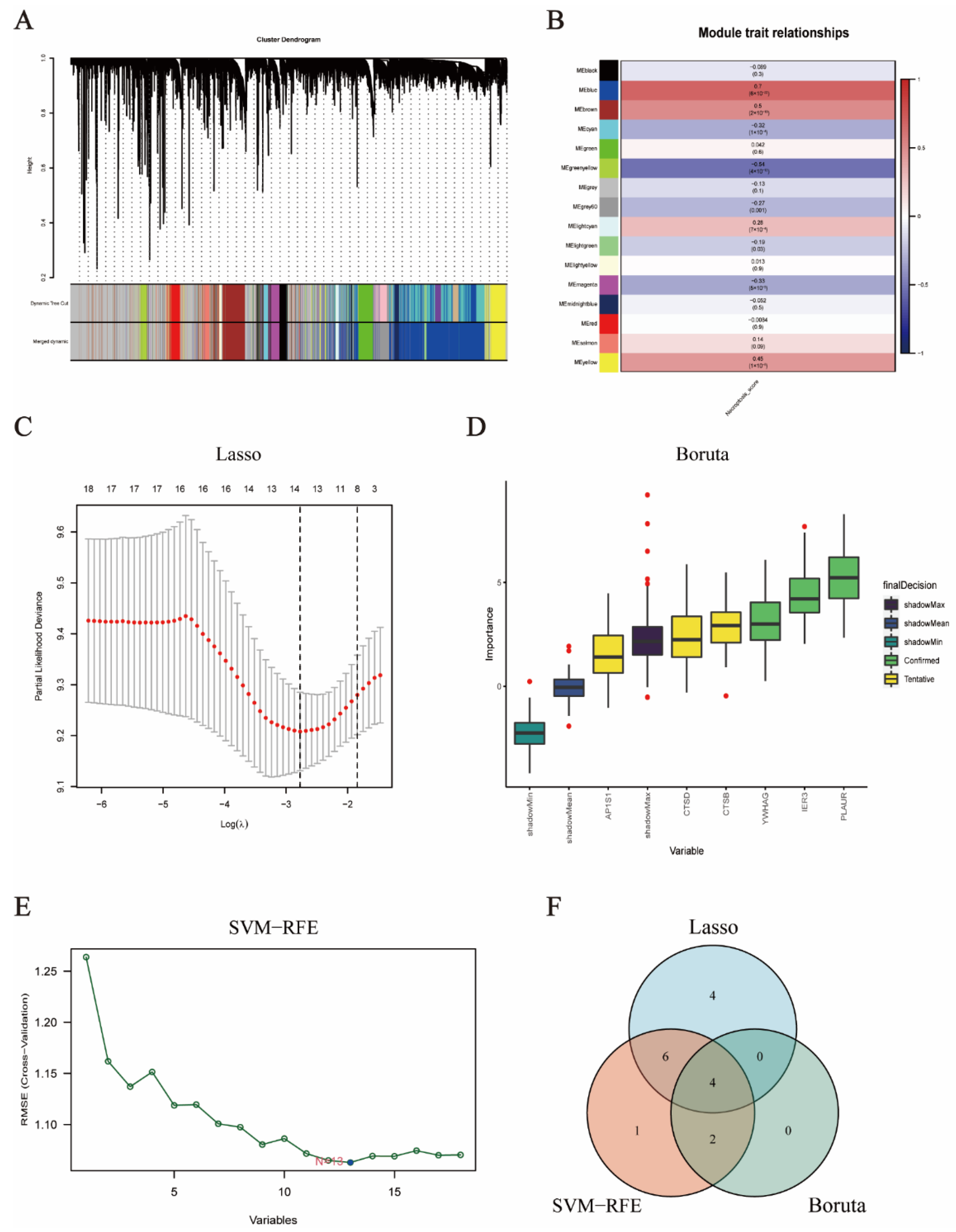 Brainsci 12 00988 g003 550