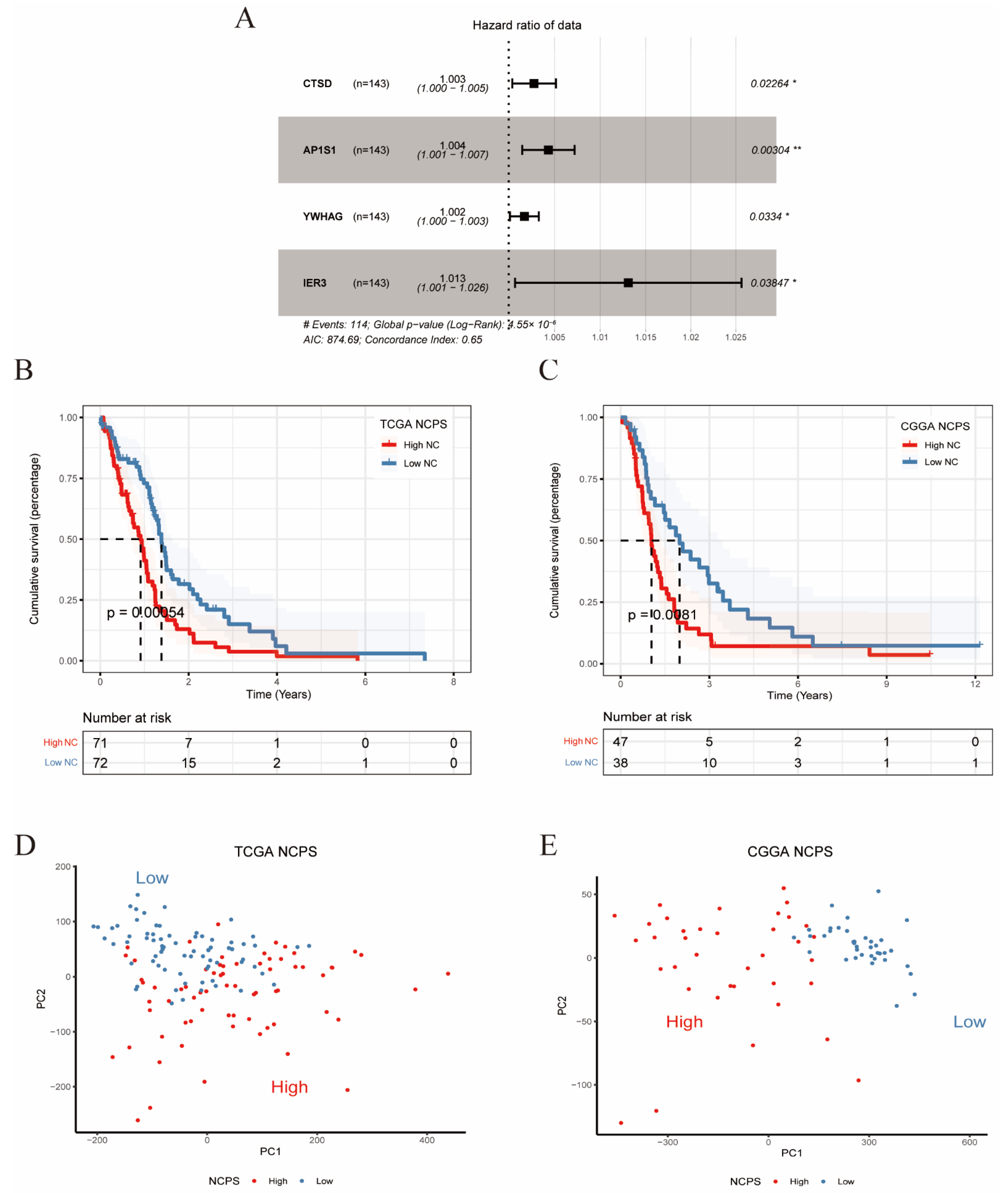 Brainsci 12 00988 g004 550