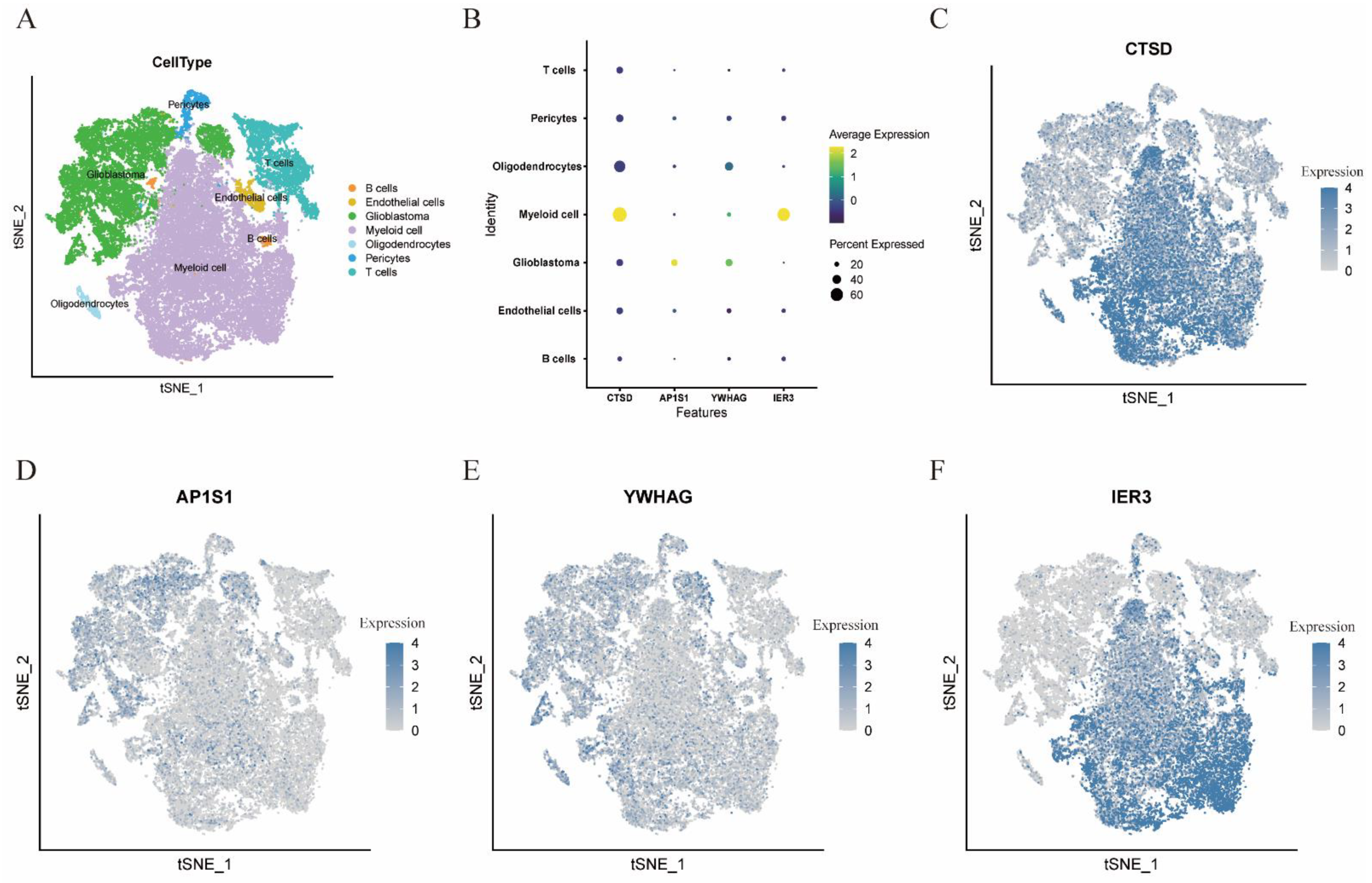 Brainsci 12 00988 g006 550