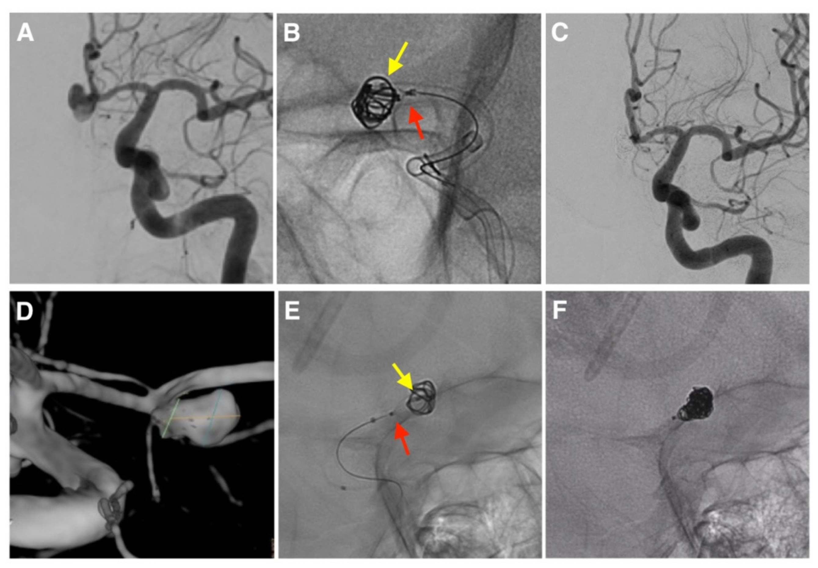 Brainsci 12 00991 g001 550