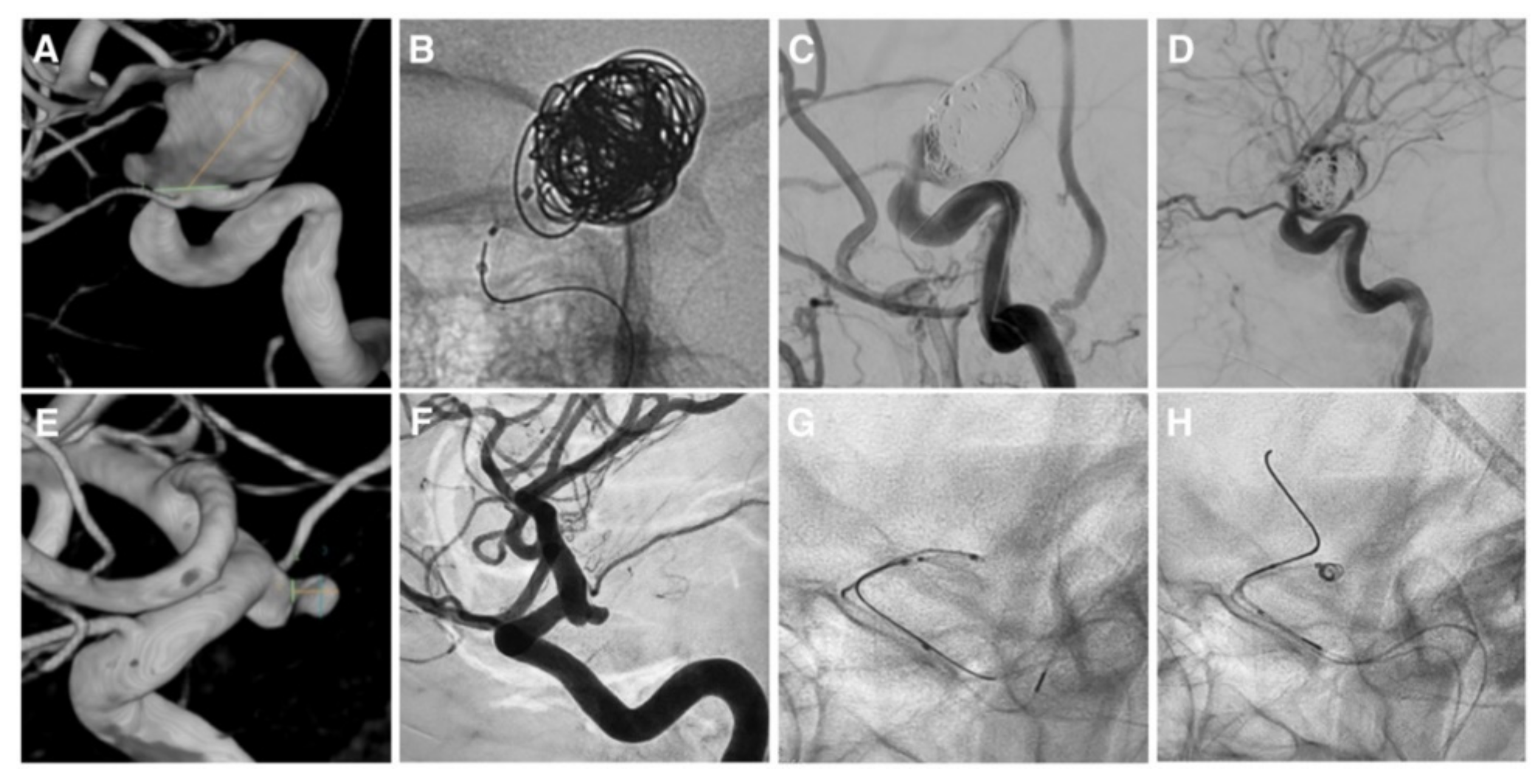 Brainsci 12 00991 g002 550