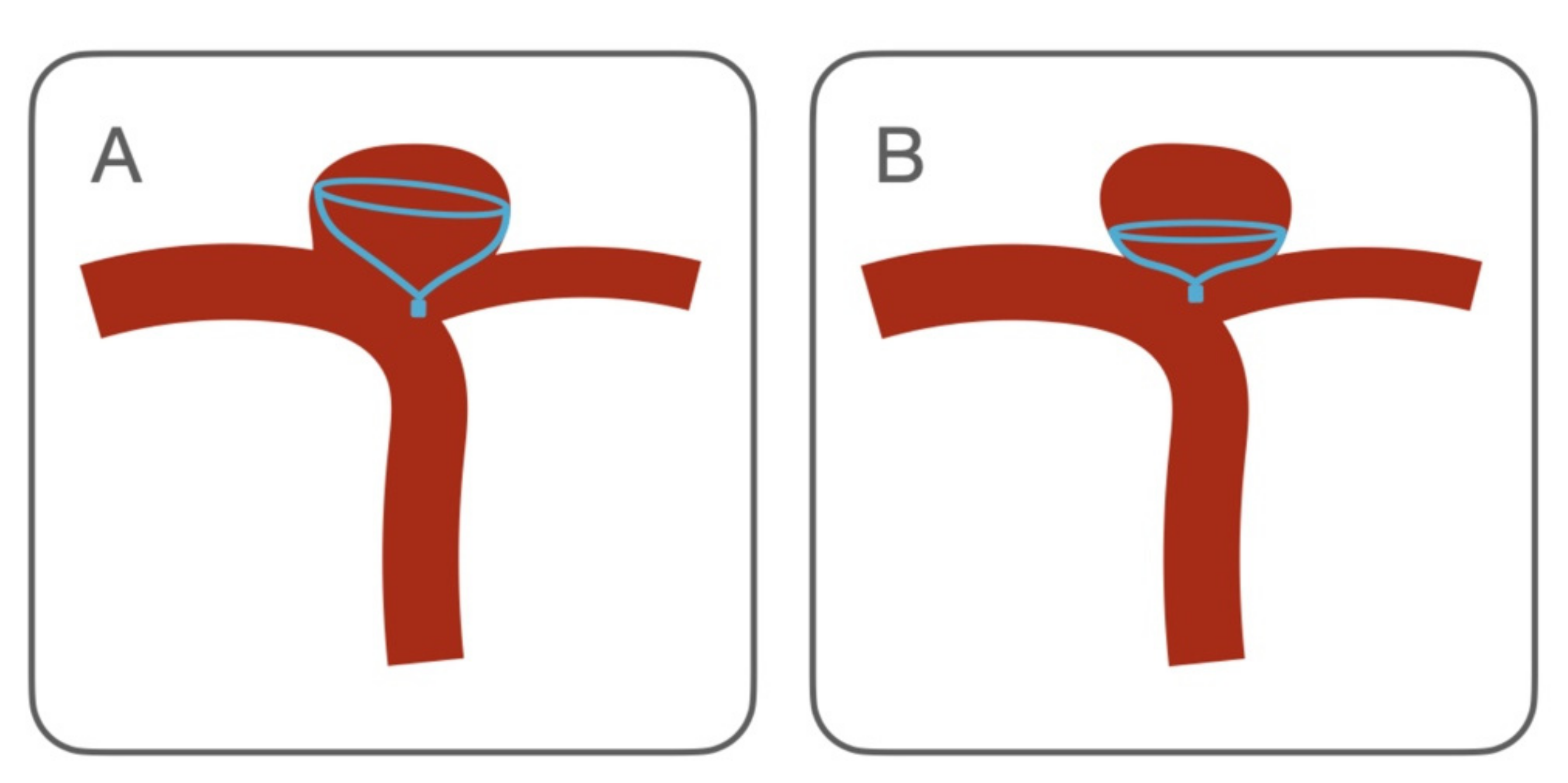 Brainsci 12 00991 g003 550