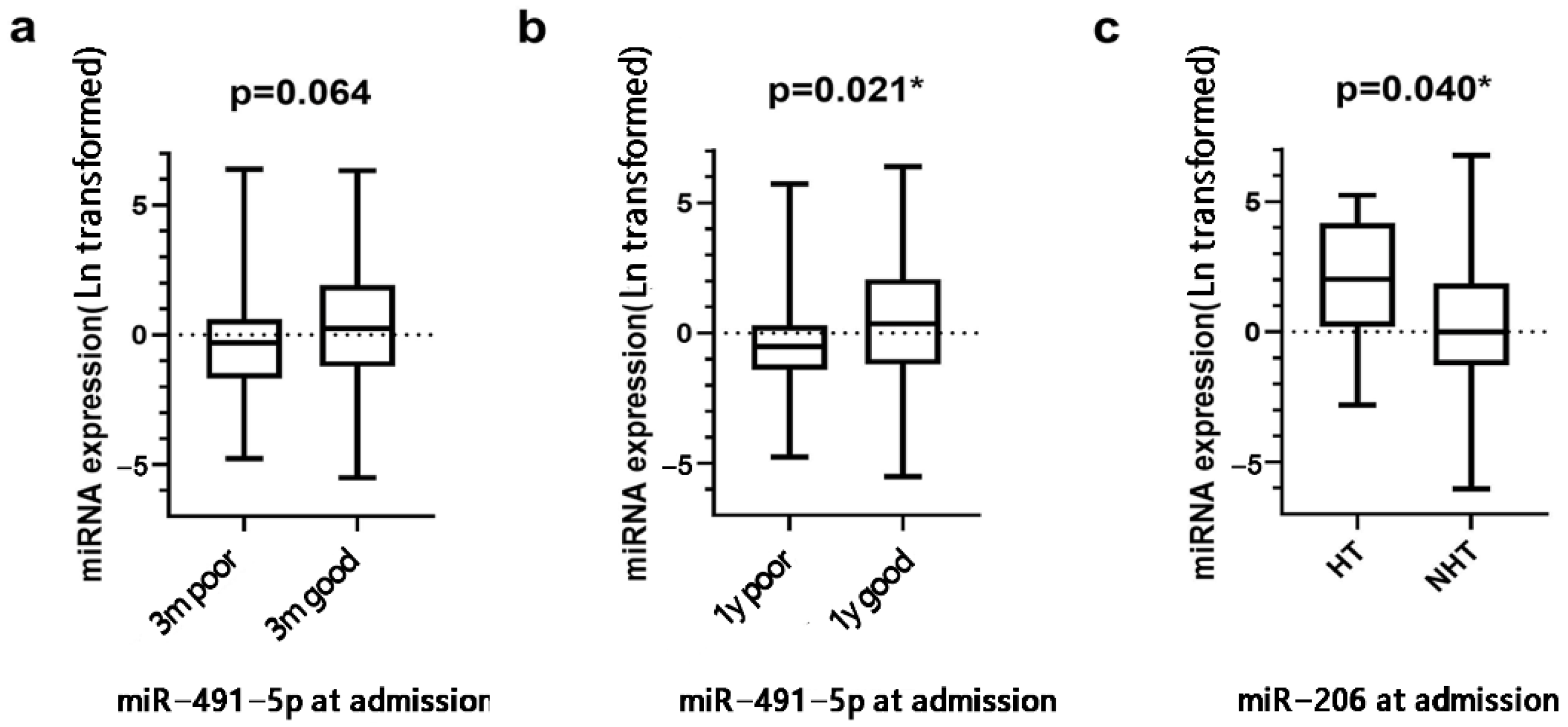 Brainsci 12 00999 g001