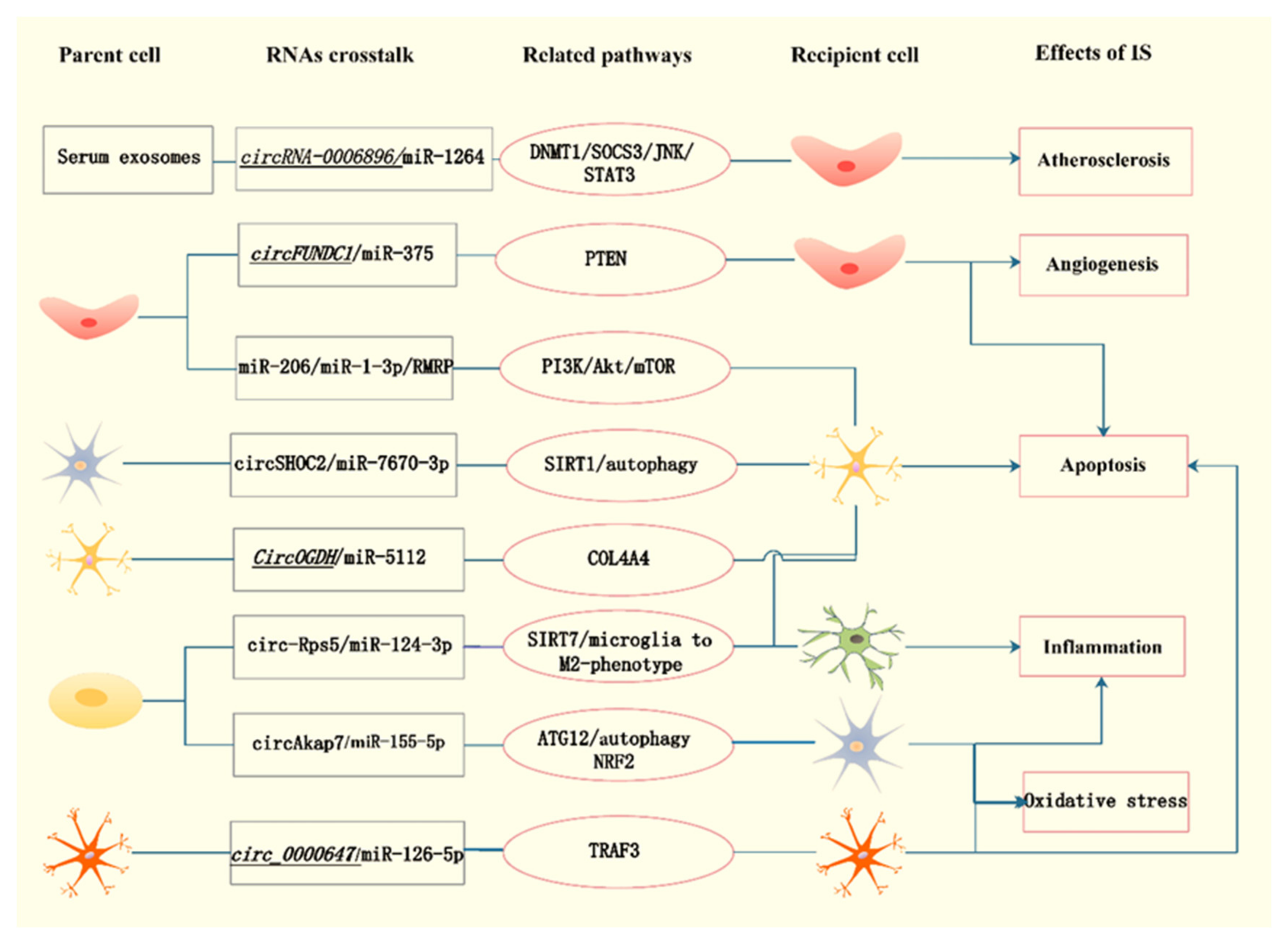 Brainsci 12 01000 g001