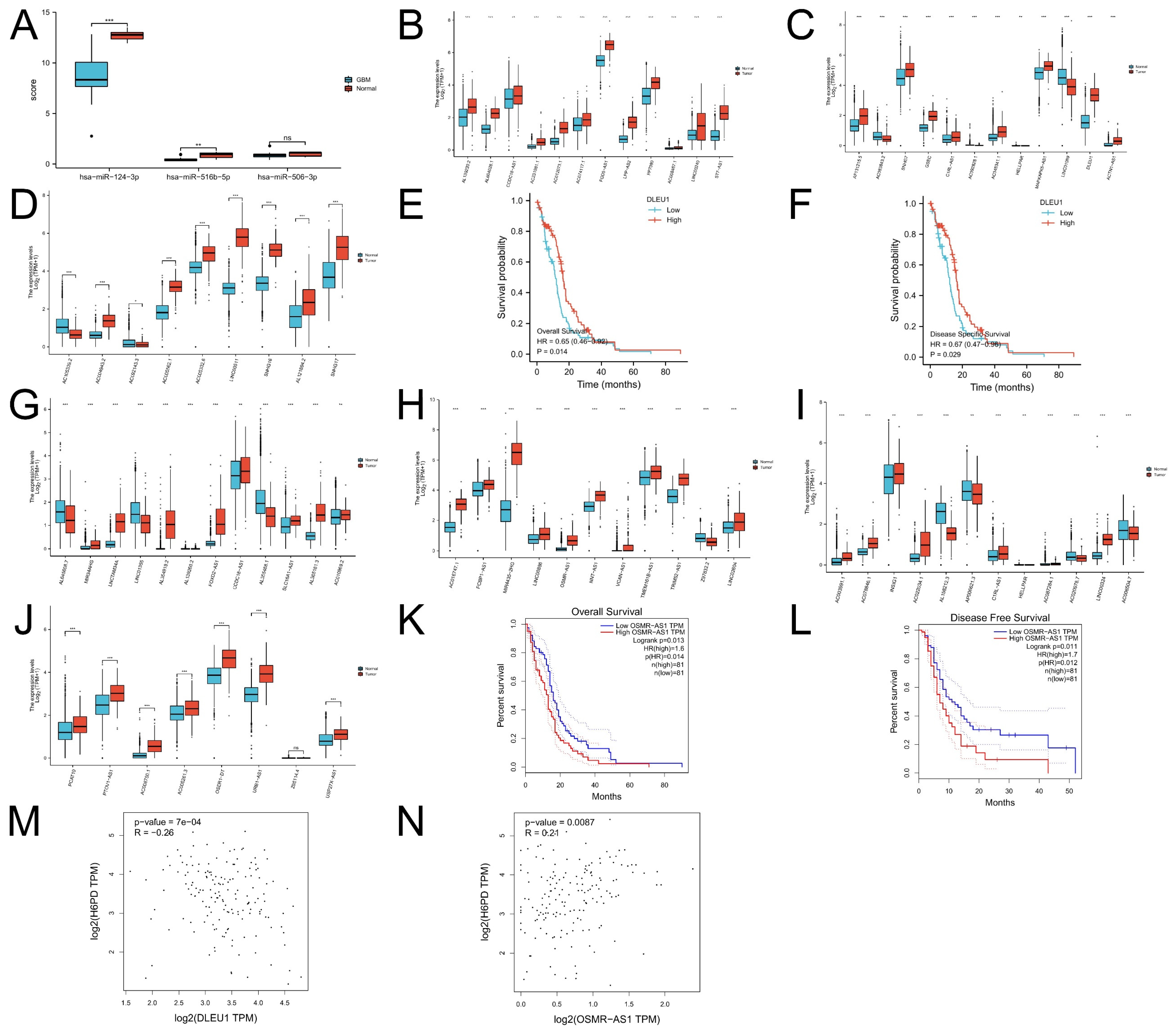 Brainsci 12 01012 g003