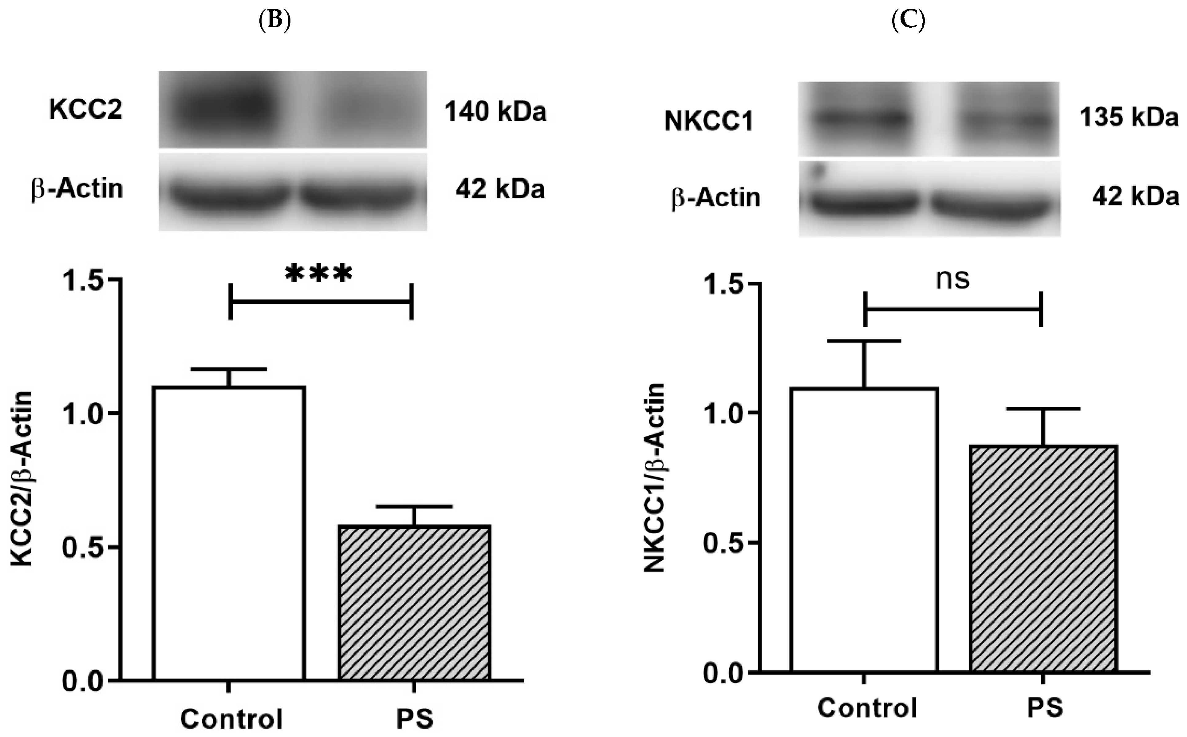 Brainsci 12 01015 g002b