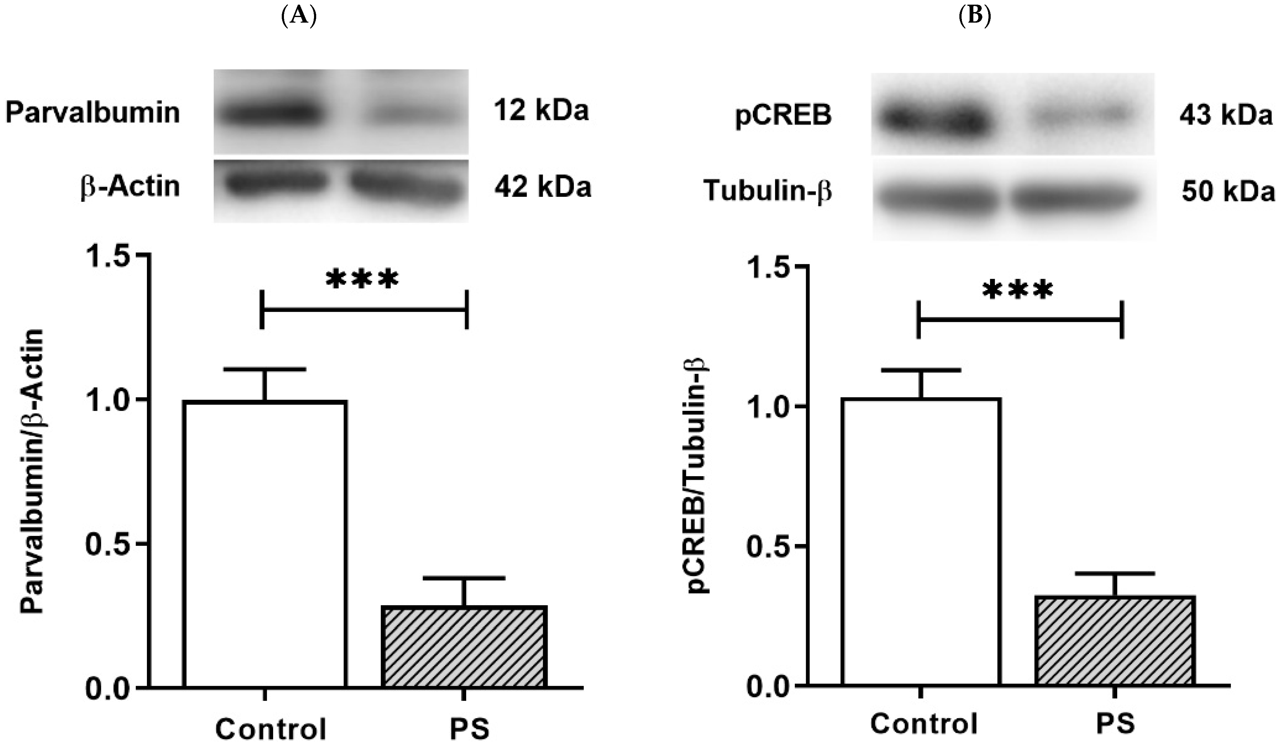 Brainsci 12 01015 g004