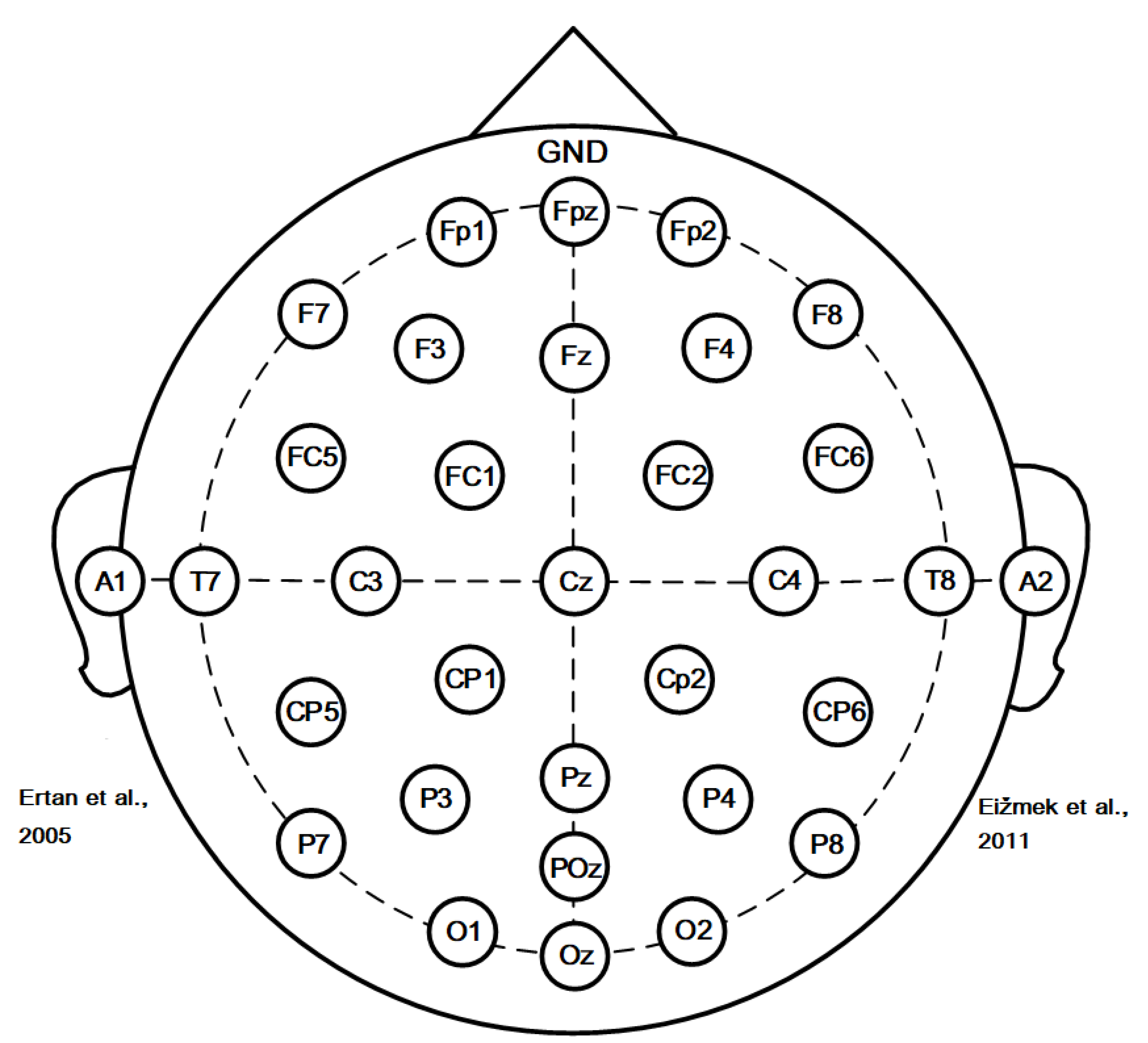 Brainsci 12 01017 g001 Brainsci 12 01017 g001