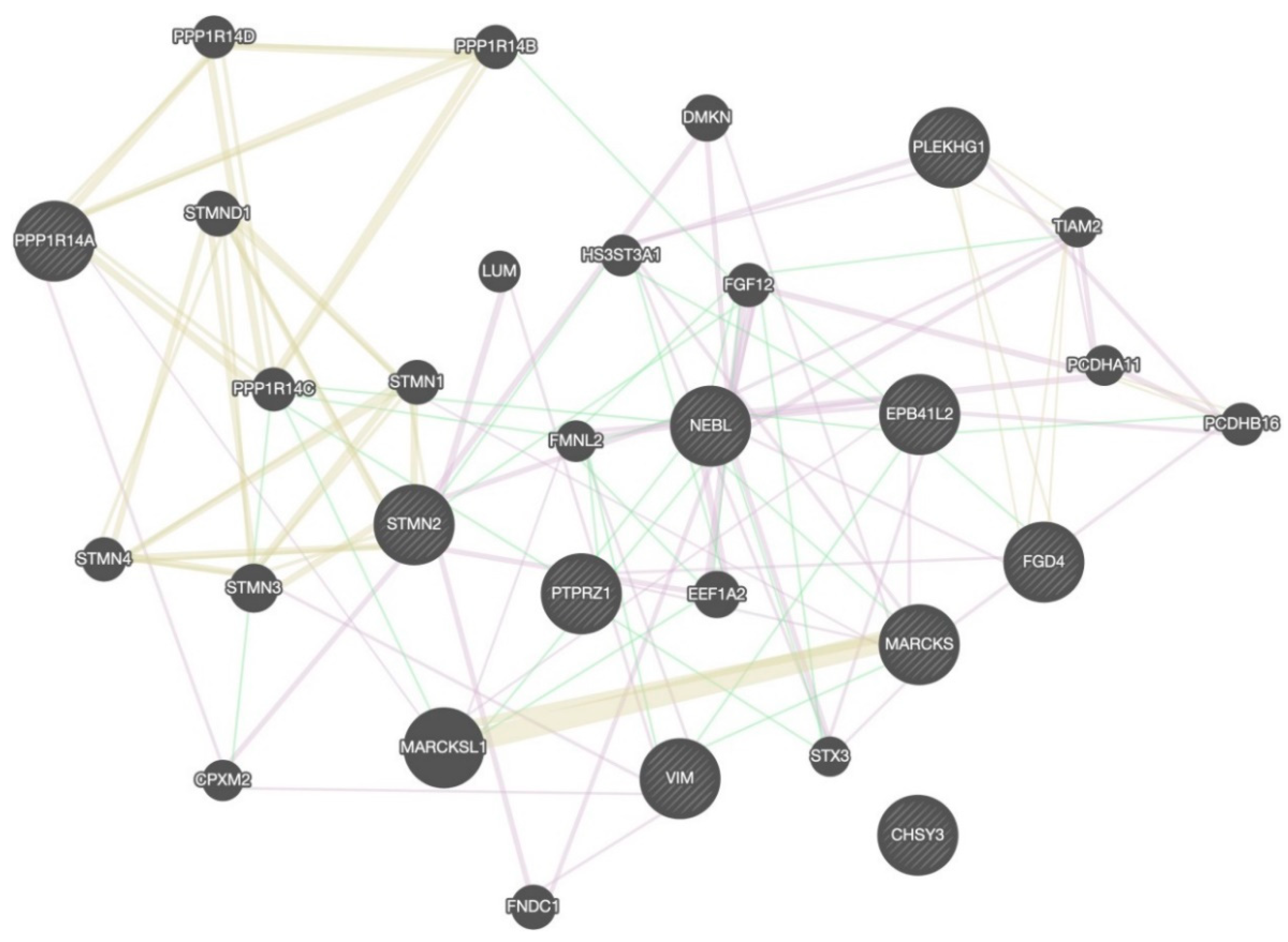 Brainsci 12 01022 g005 Brainsci 12 01022 g005