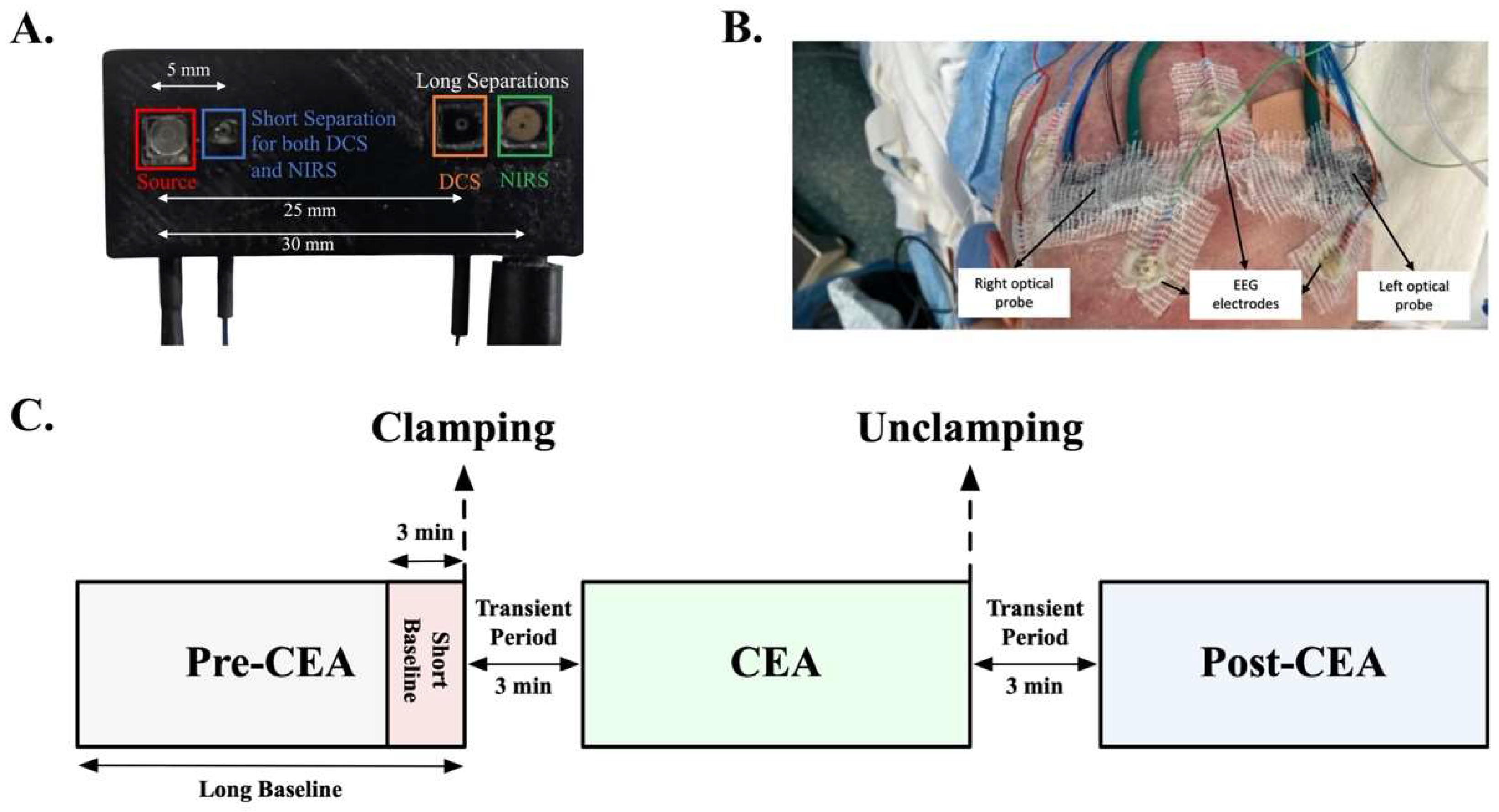 Brainsci 12 01025 g001 Brainsci 12 01025 g001