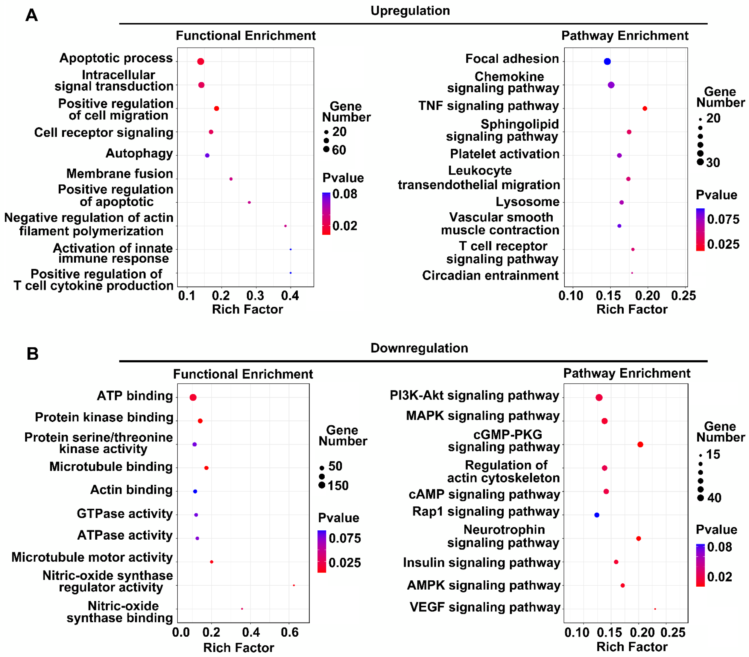 Brainsci 12 01027 g003