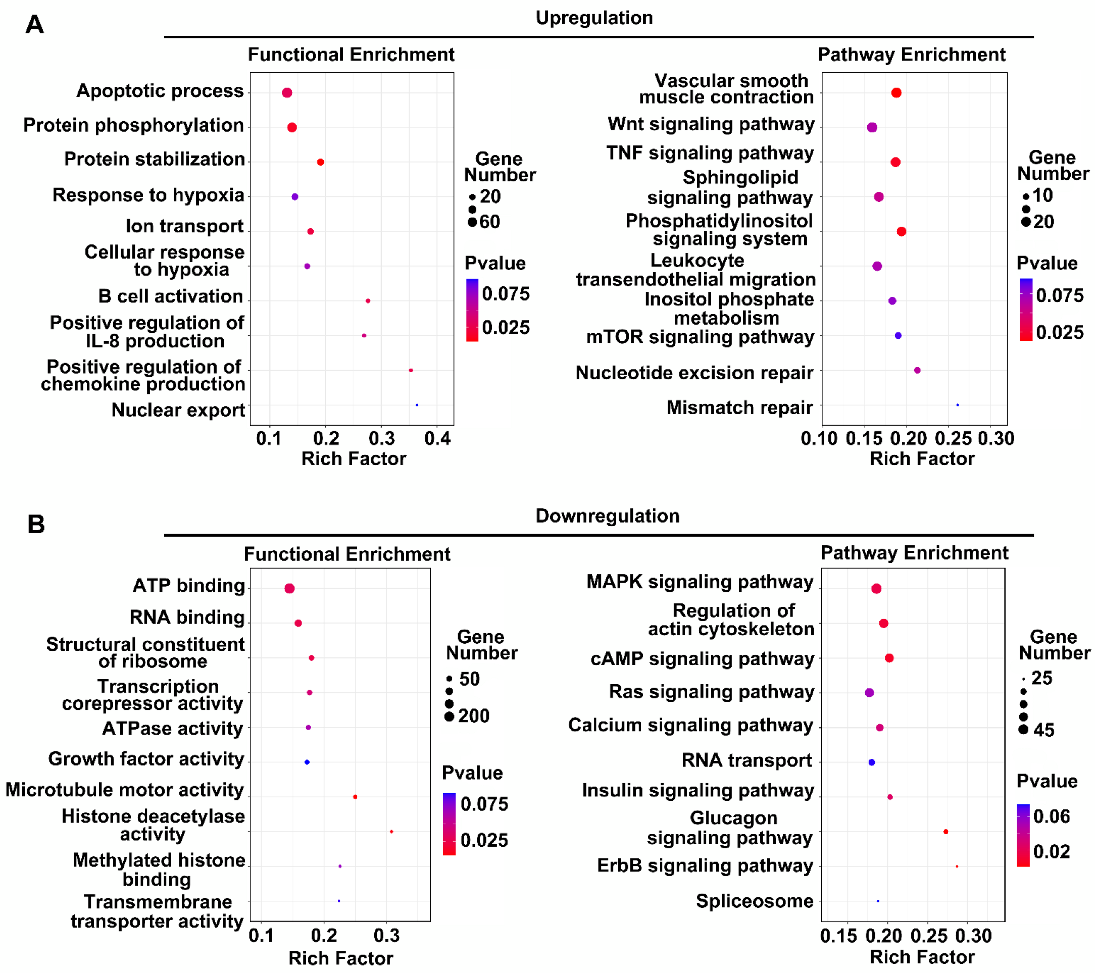 Brainsci 12 01027 g005