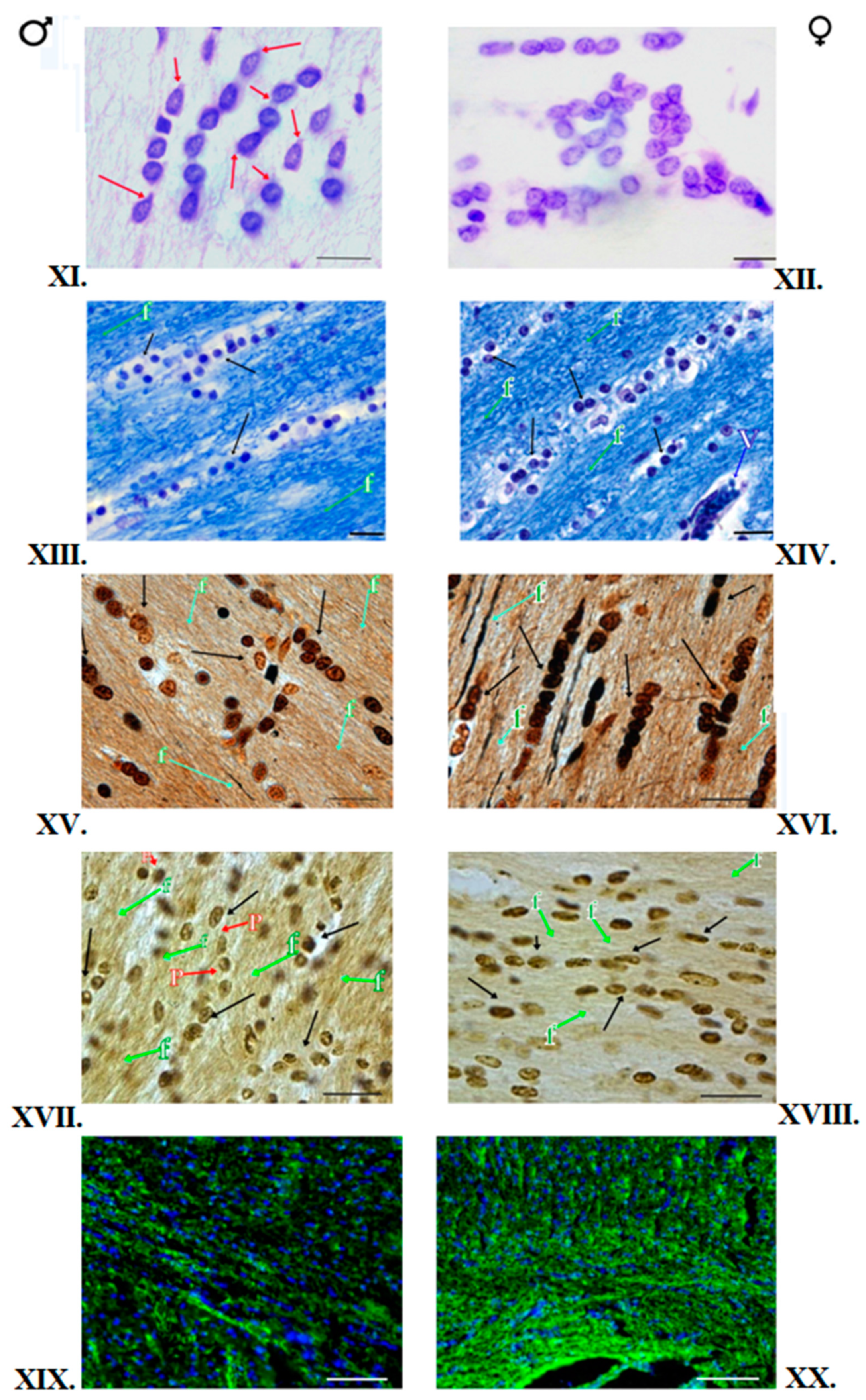 Brainsci 12 01035 g003 Brainsci 12 01035 g003