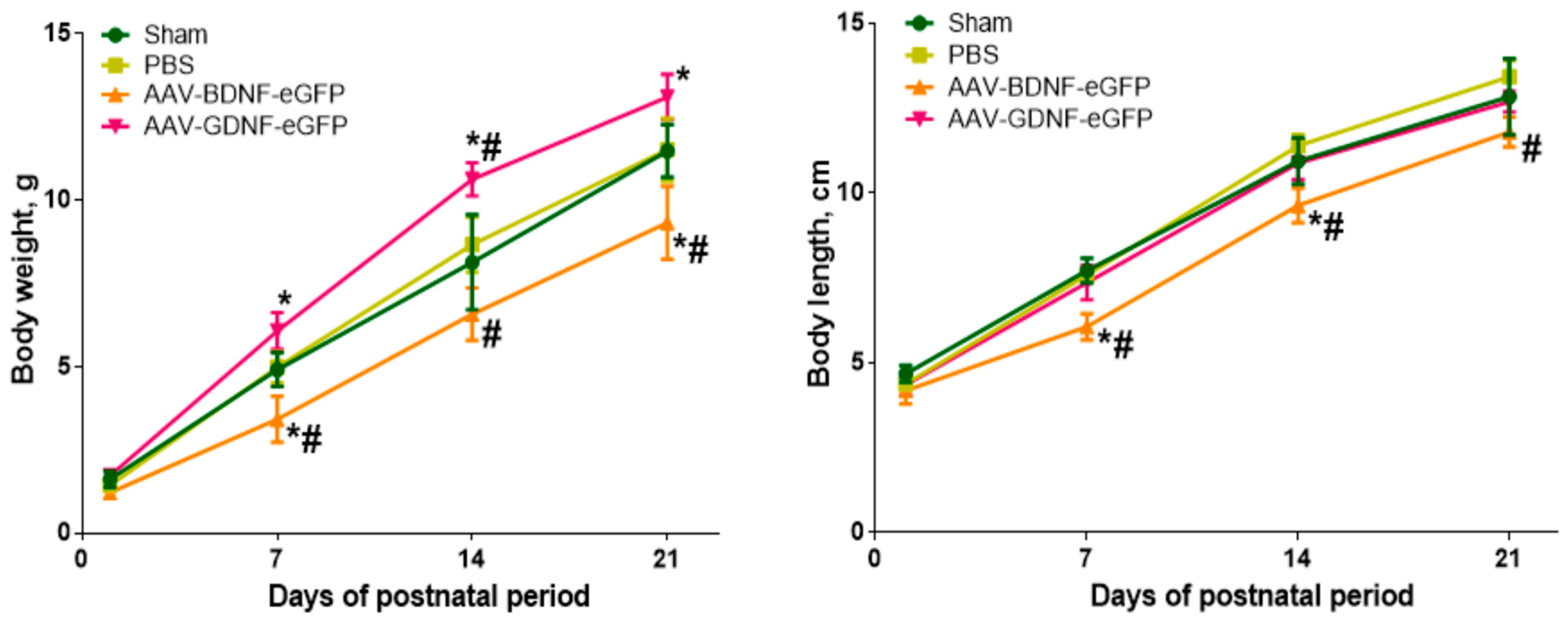 Brainsci 12 01039 g002