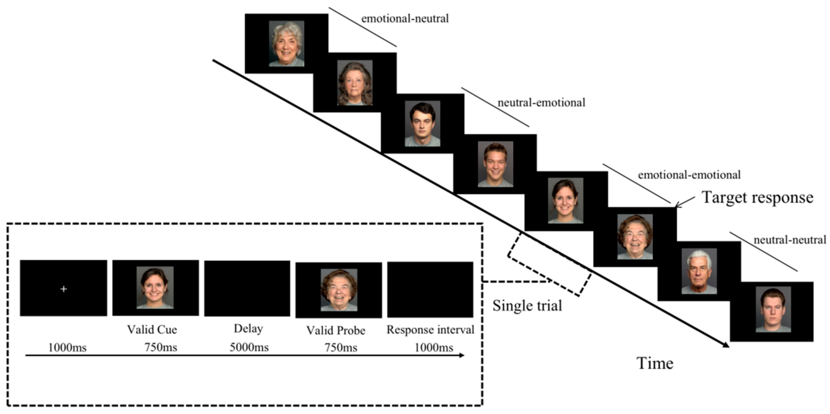 Brainsci 12 01043 g001