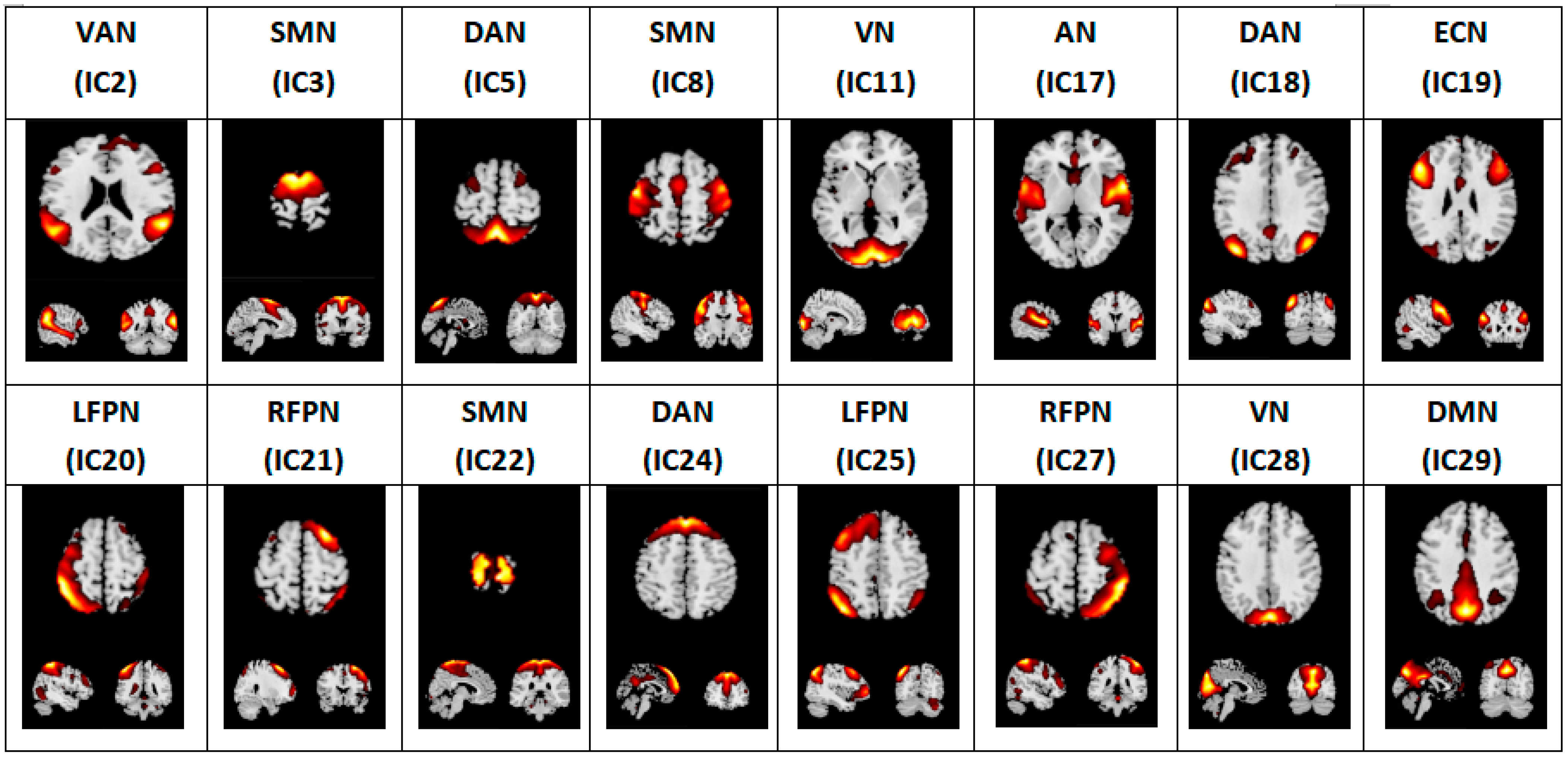 Brainsci 12 01049 g001 Brainsci 12 01049 g001