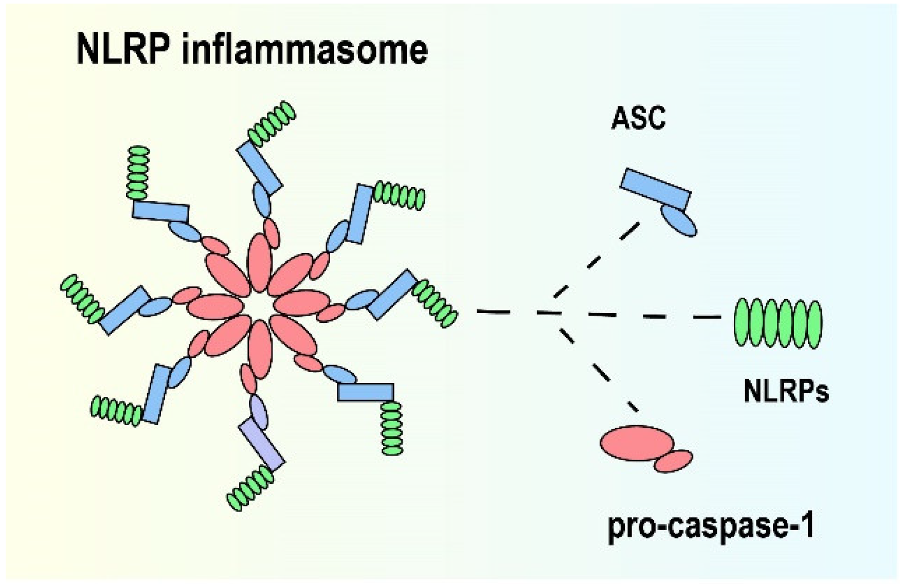 Brainsci 12 01057 g001