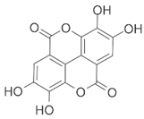 Brainsci 12 01057 i006