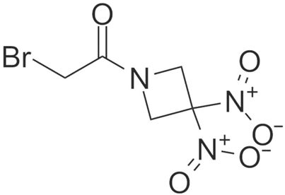Brainsci 12 01057 i012