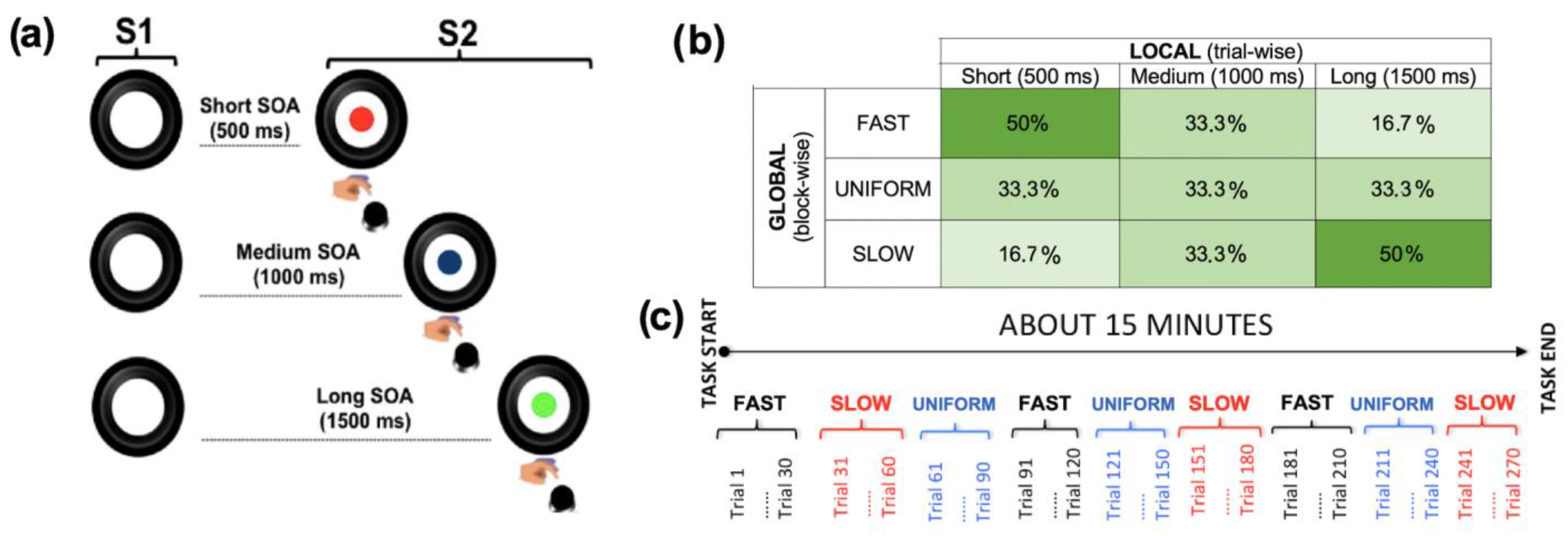 Brainsci 12 01074 g001