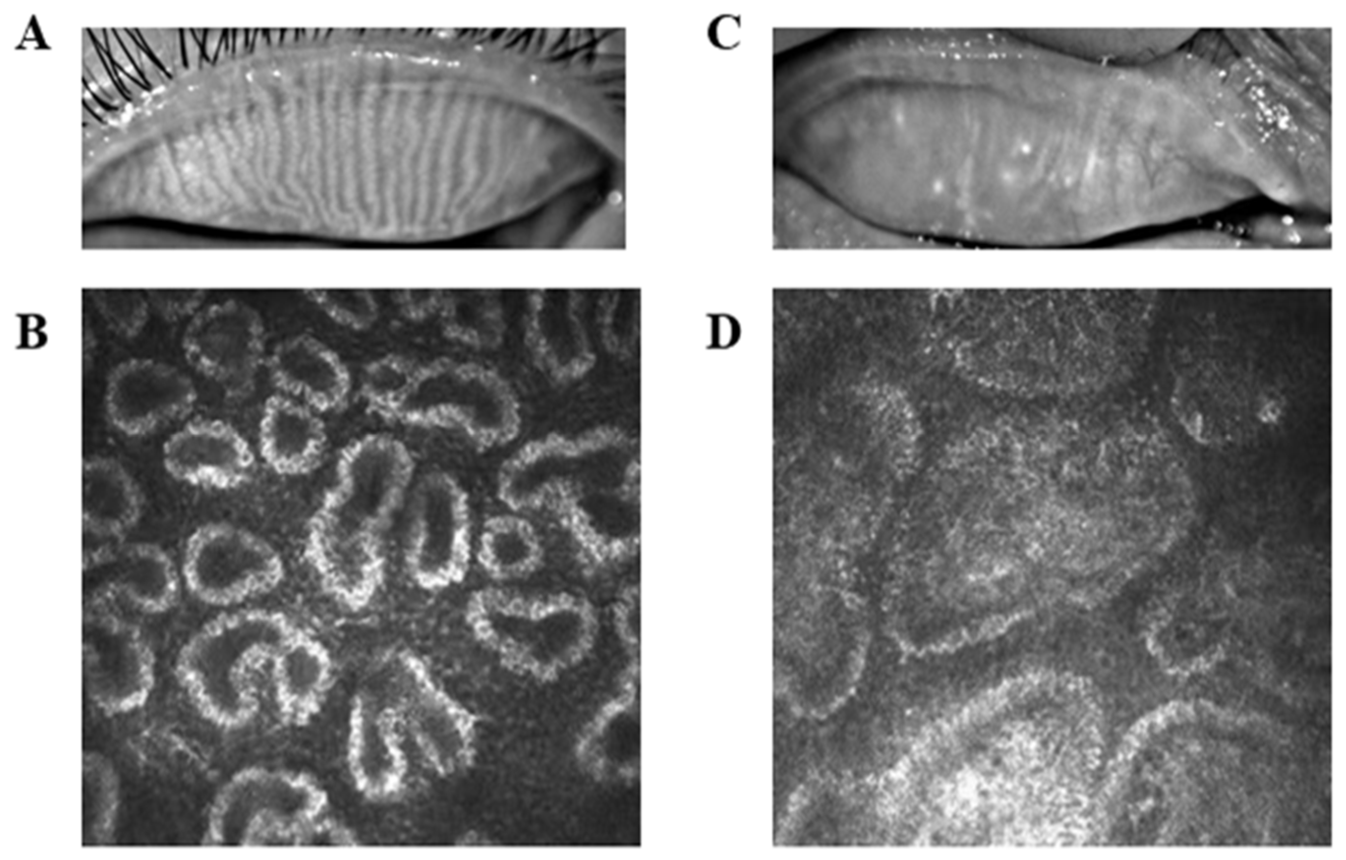 Brainsci 12 01078 g001 Brainsci 12 01078 g001