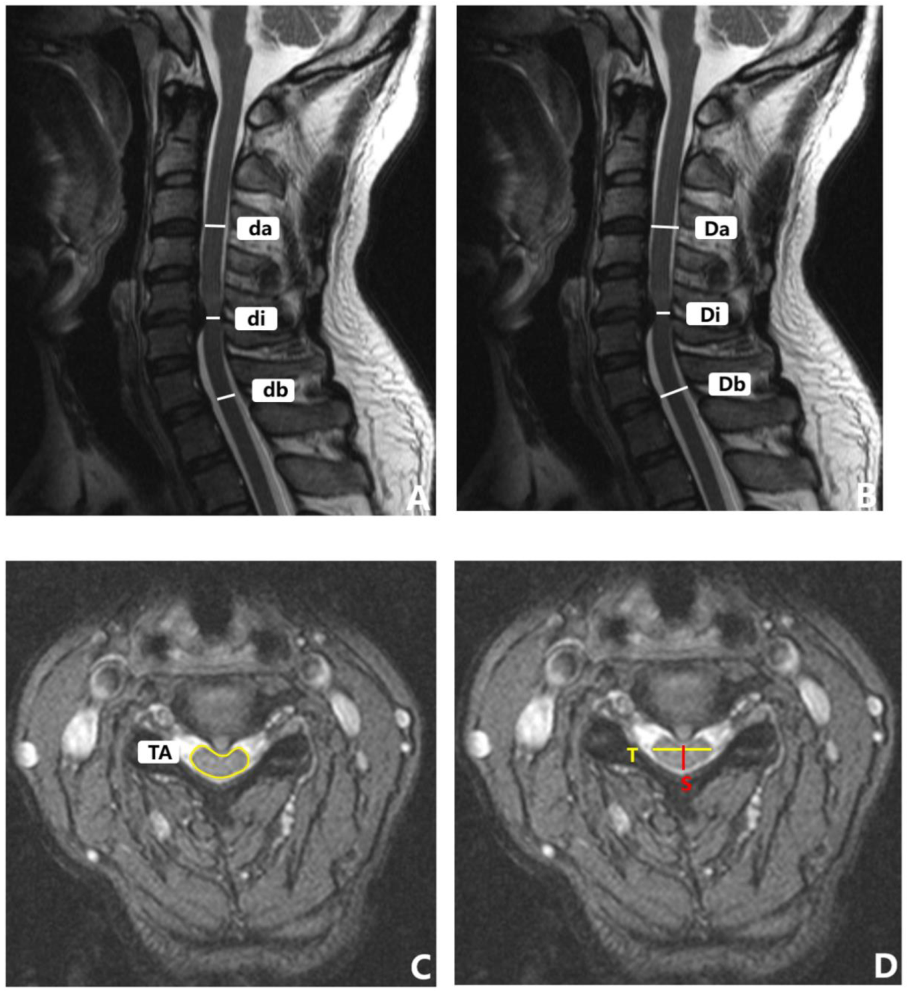 Brainsci 12 01088 g005 550