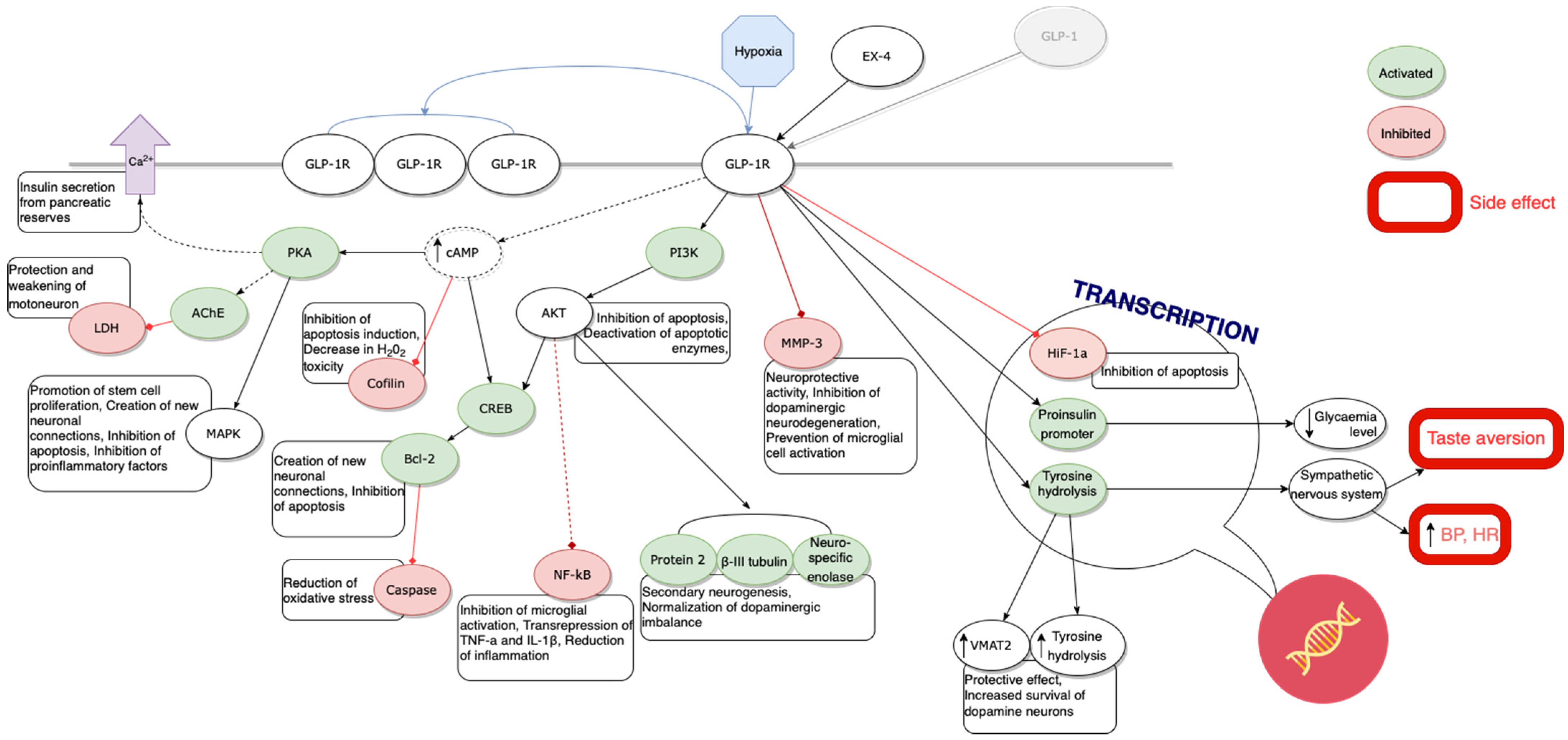 Brainsci 12 01090 g002