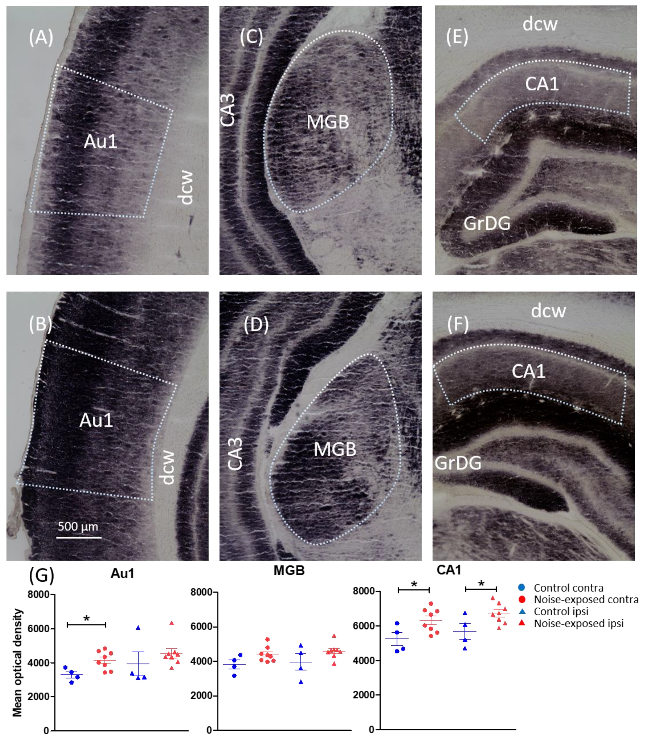 Brainsci 12 01099 g001