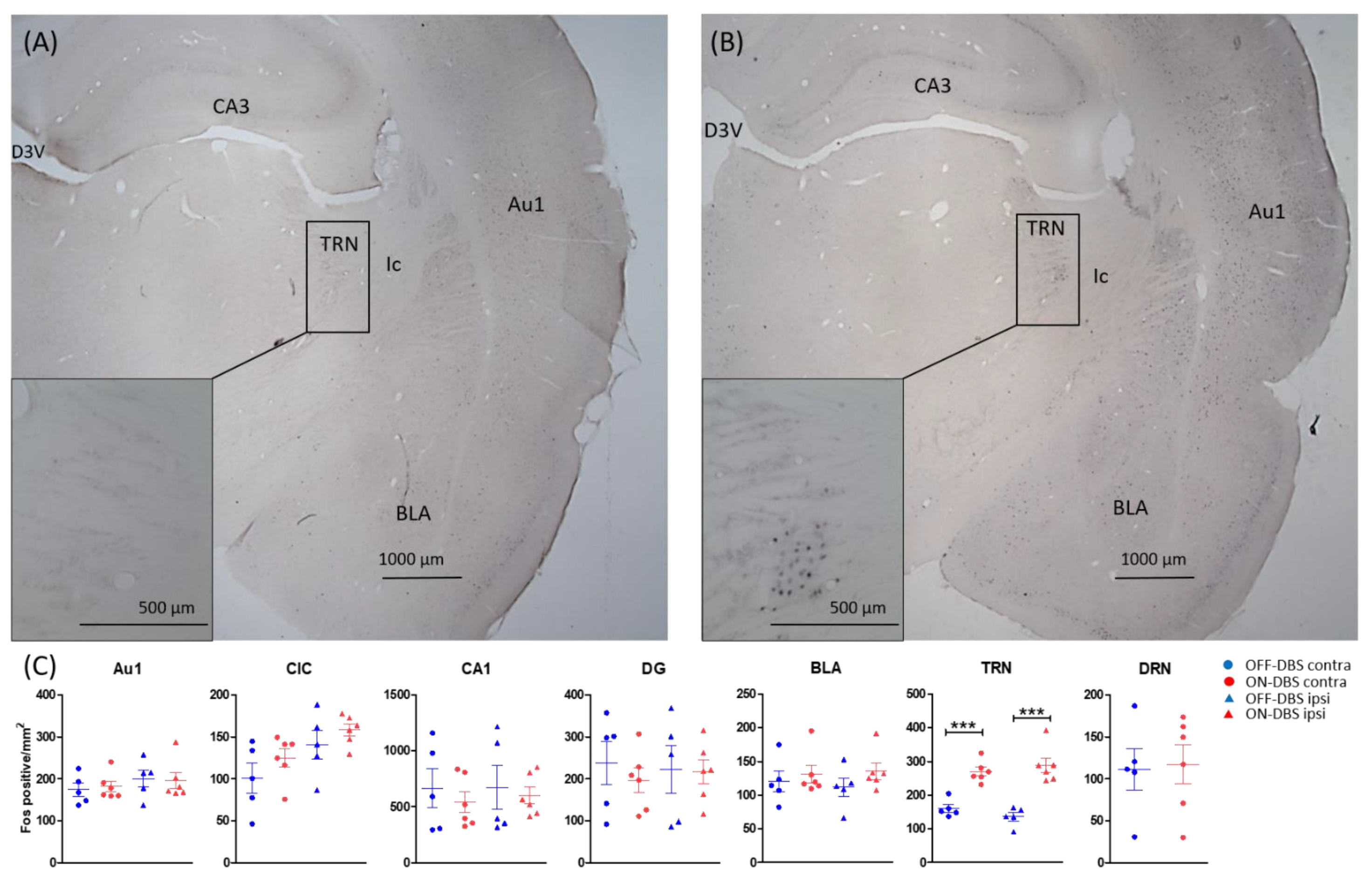 Brainsci 12 01099 g002