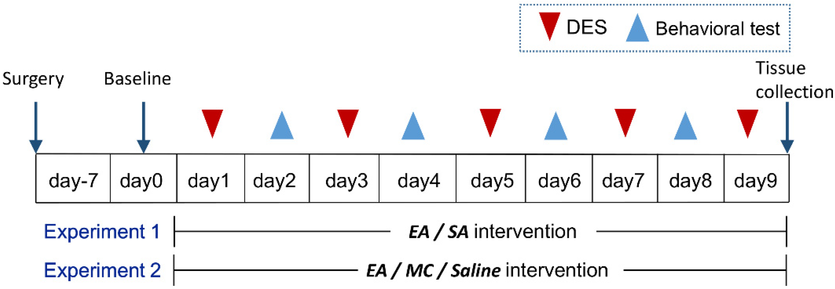 Brainsci 12 01100 g001