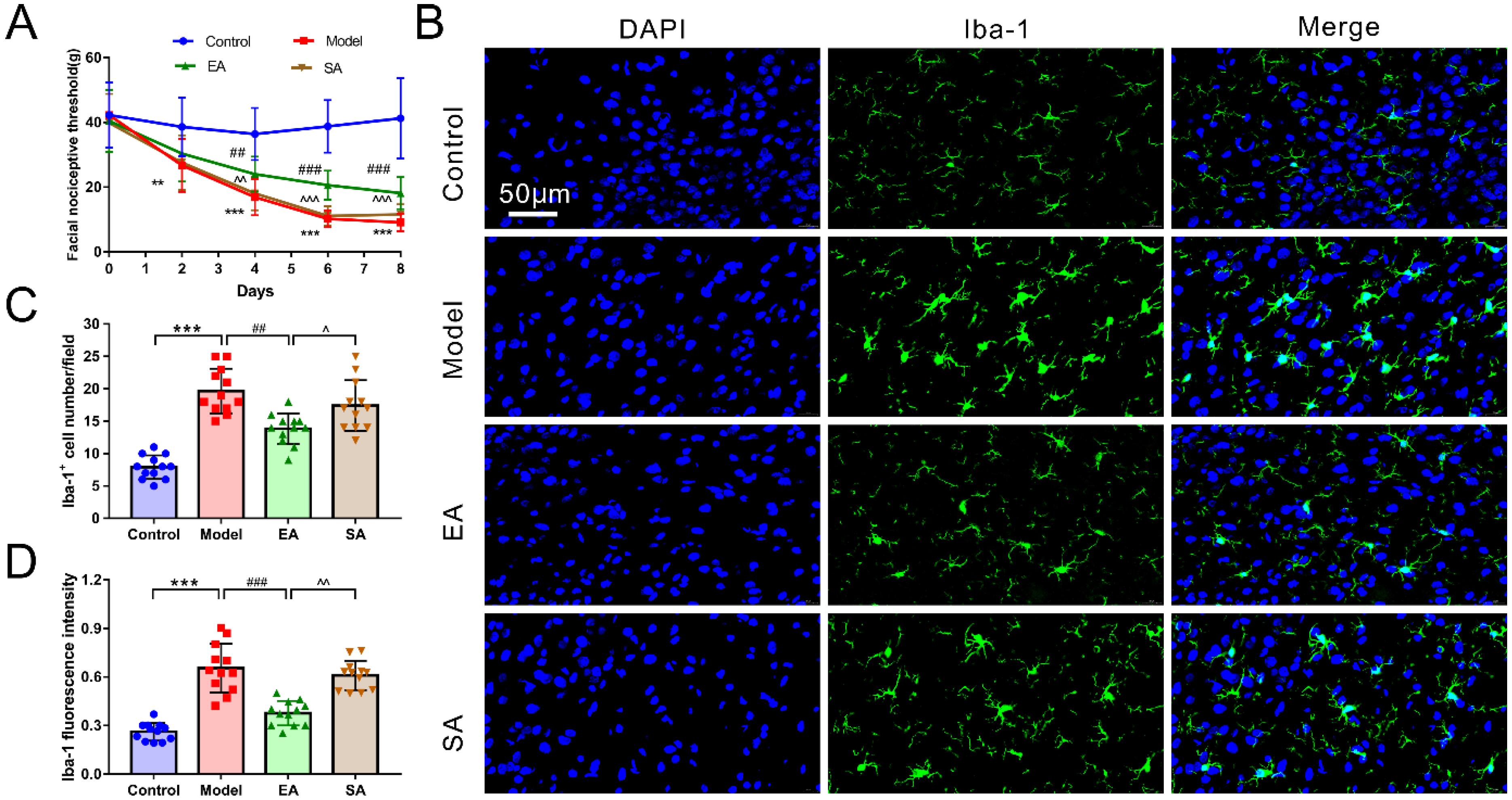Brainsci 12 01100 g002