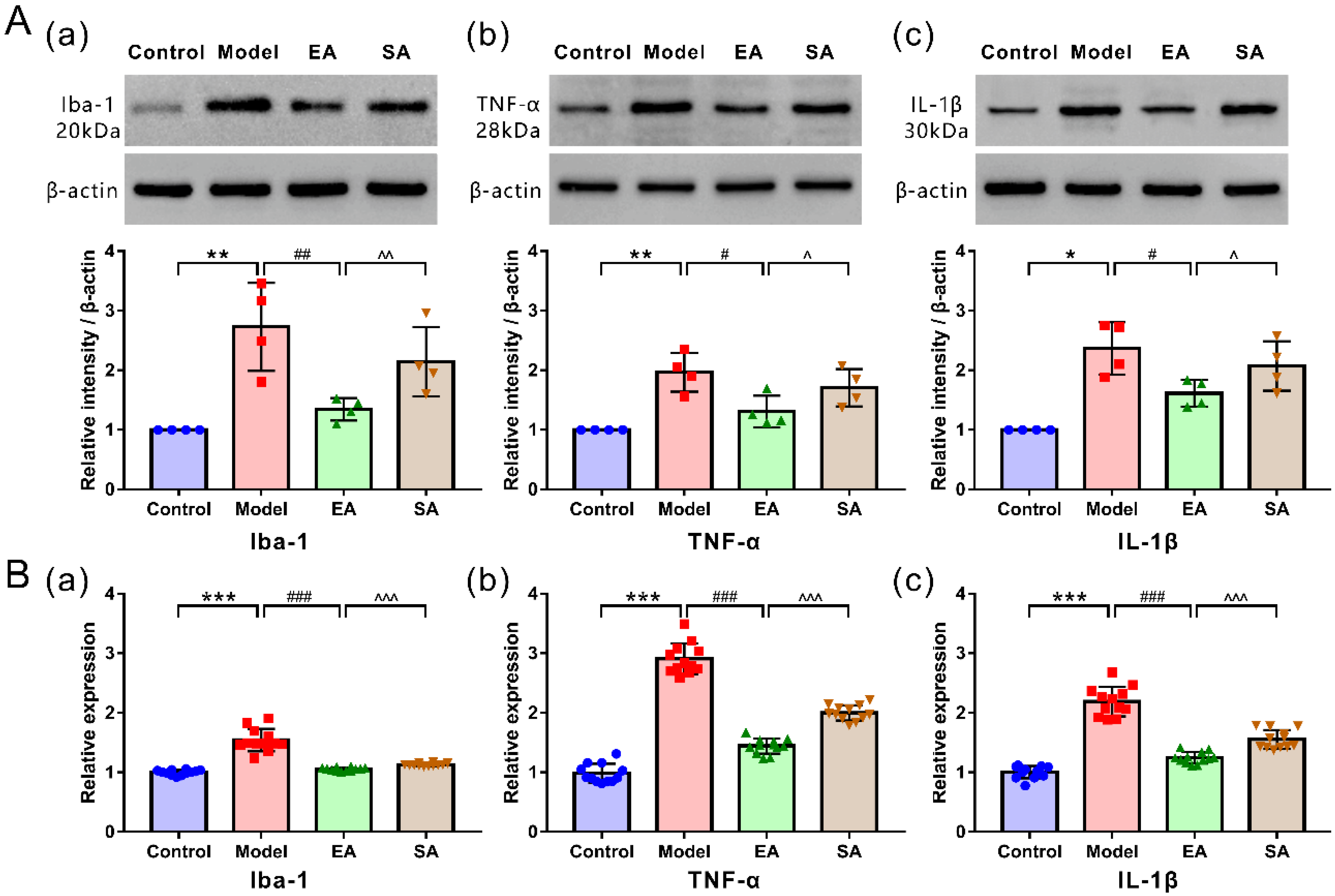 Brainsci 12 01100 g003