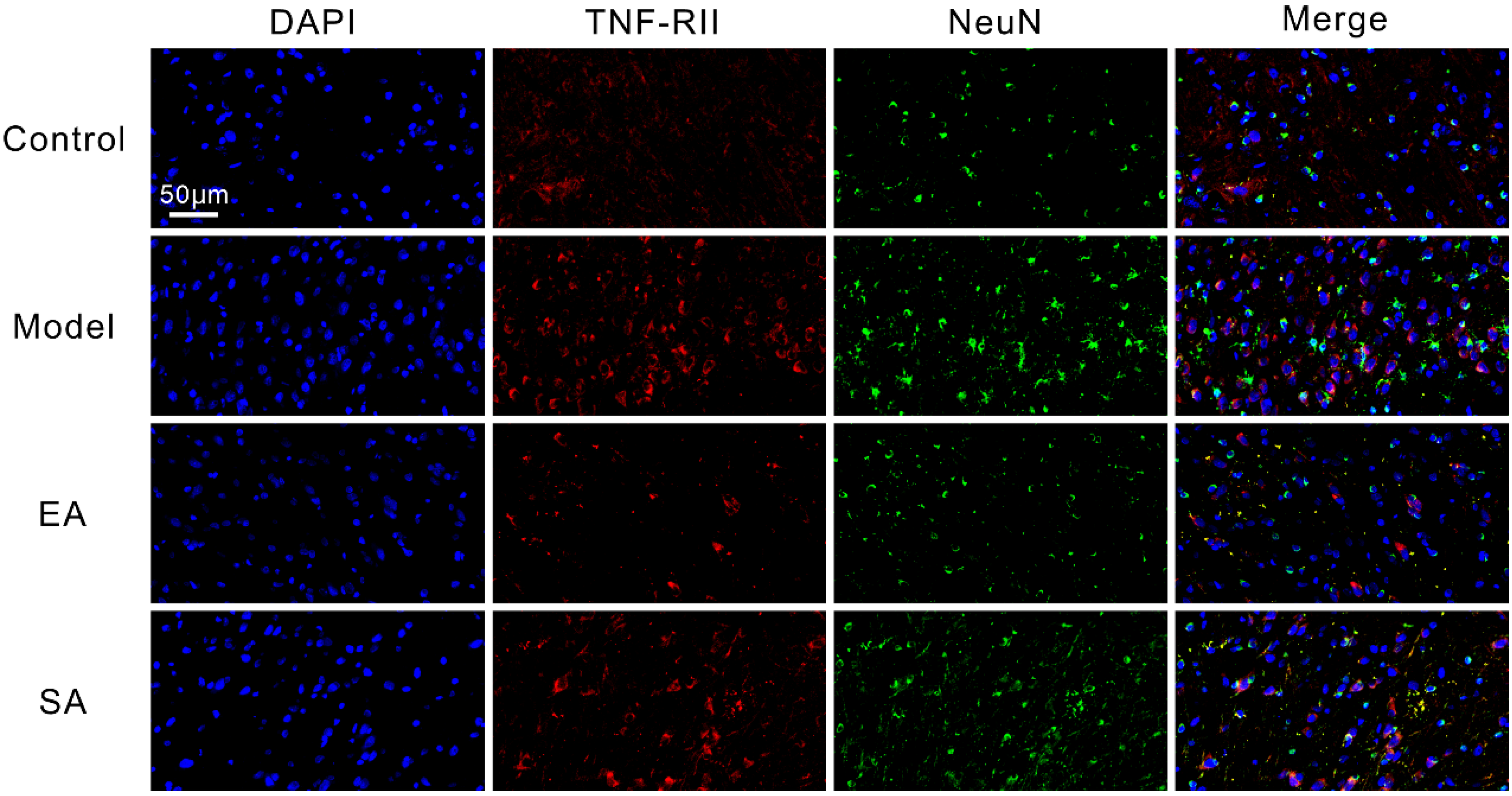 Brainsci 12 01100 g004