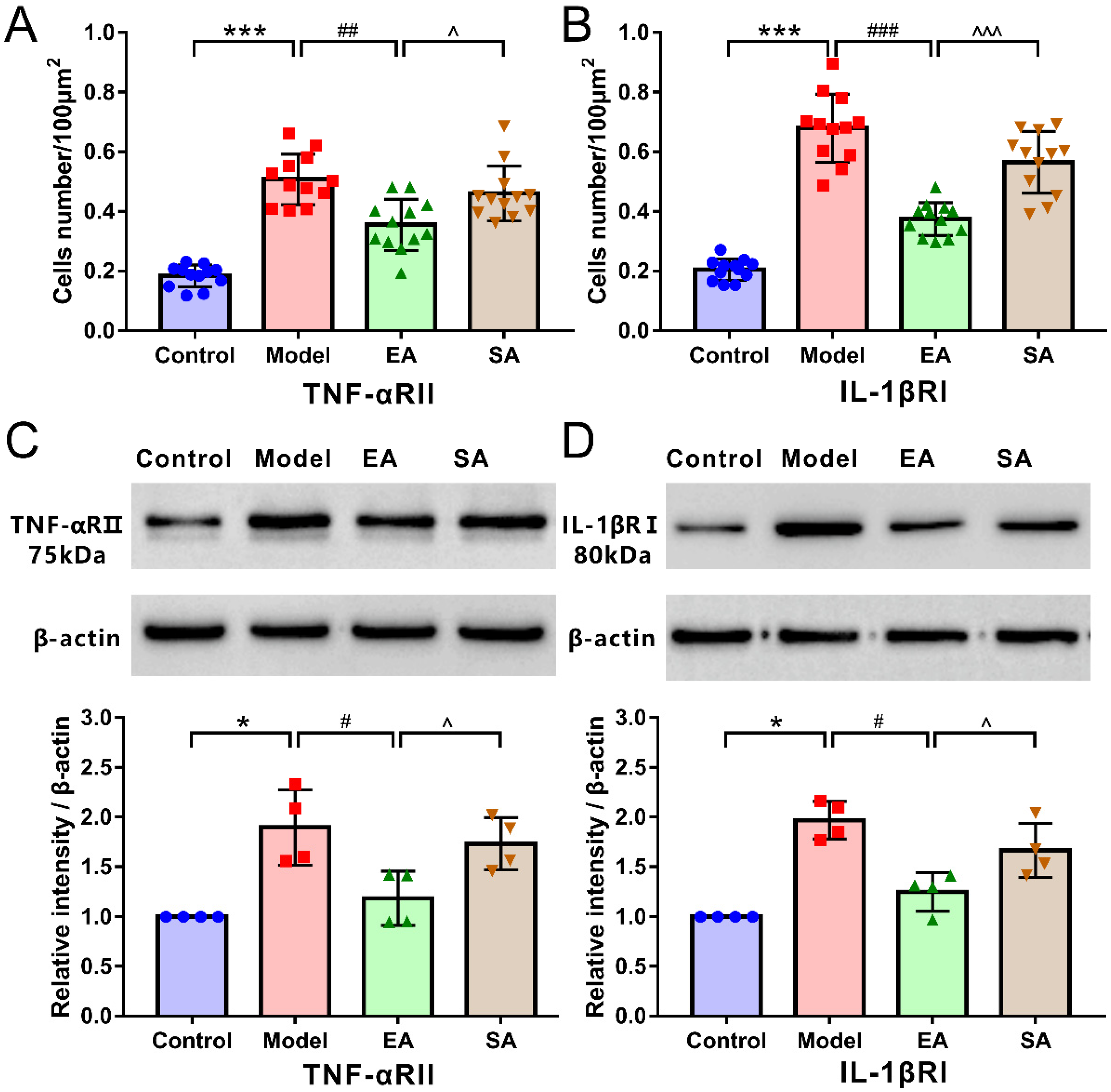 Brainsci 12 01100 g006