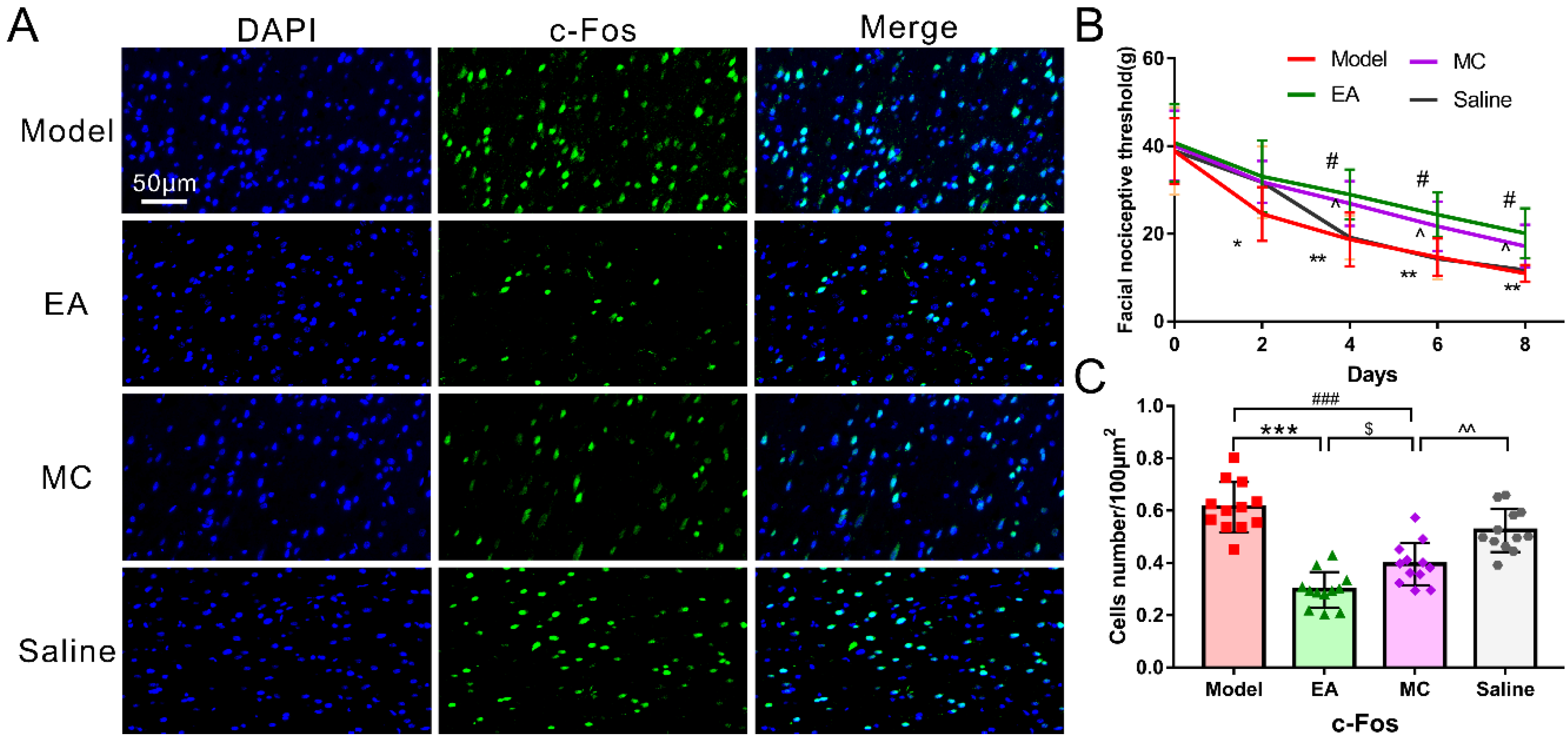 Brainsci 12 01100 g007