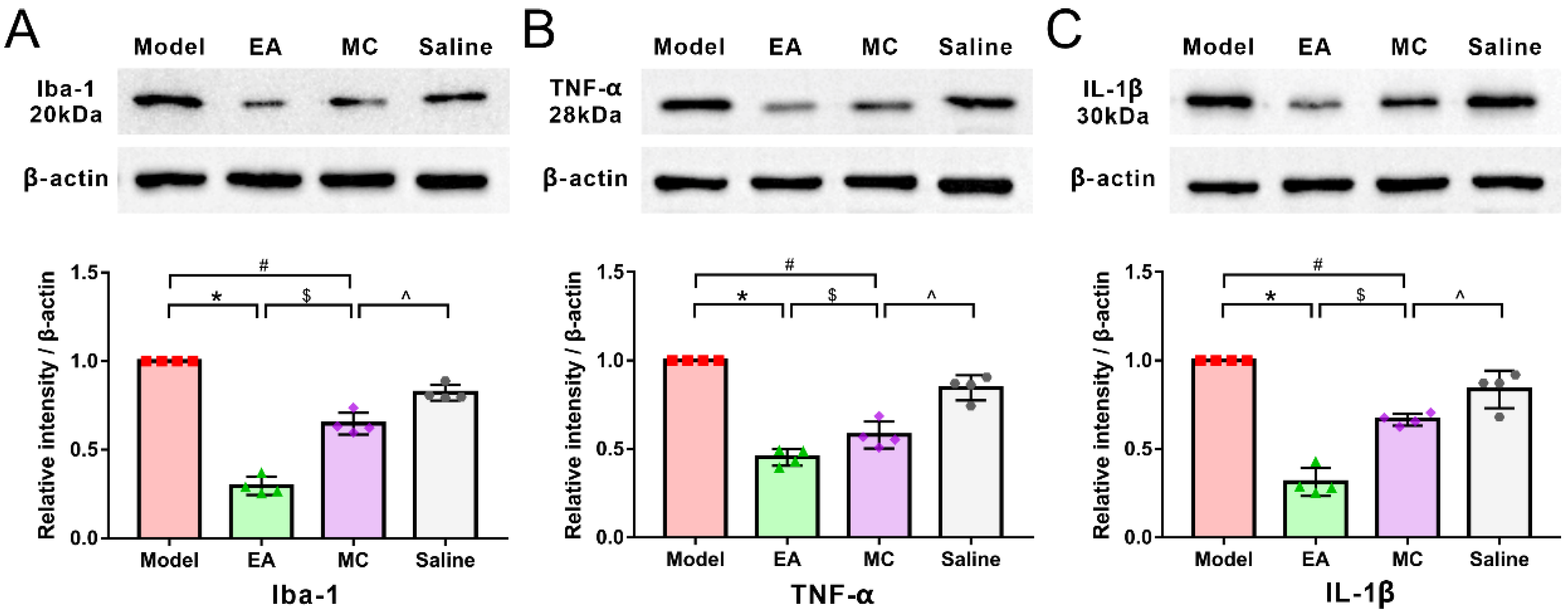 Brainsci 12 01100 g008