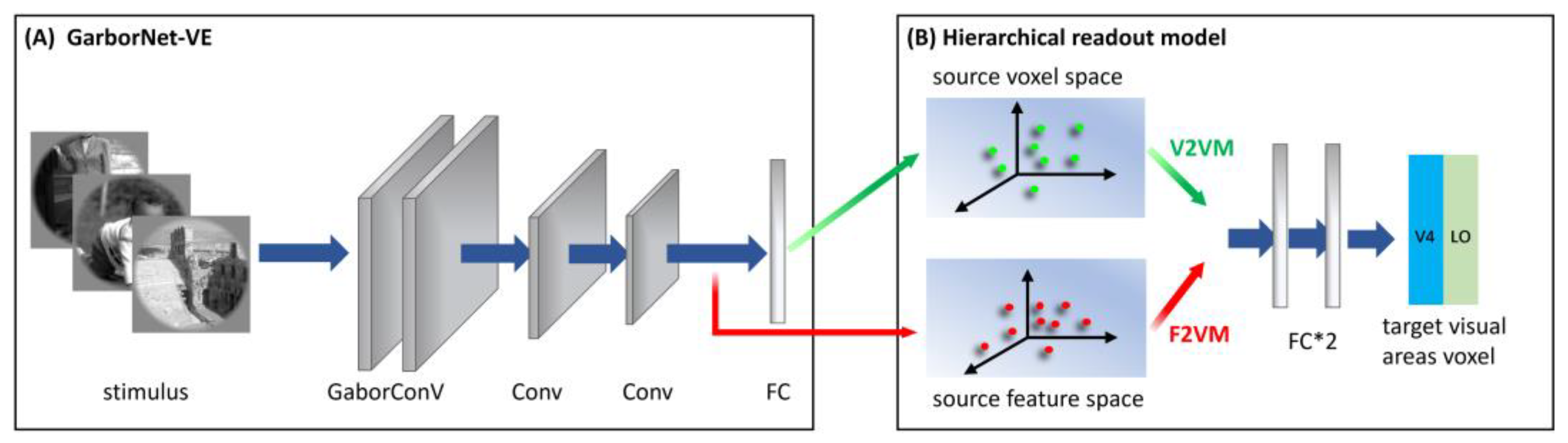 Brainsci 12 01101 g002 Brainsci 12 01101 g002