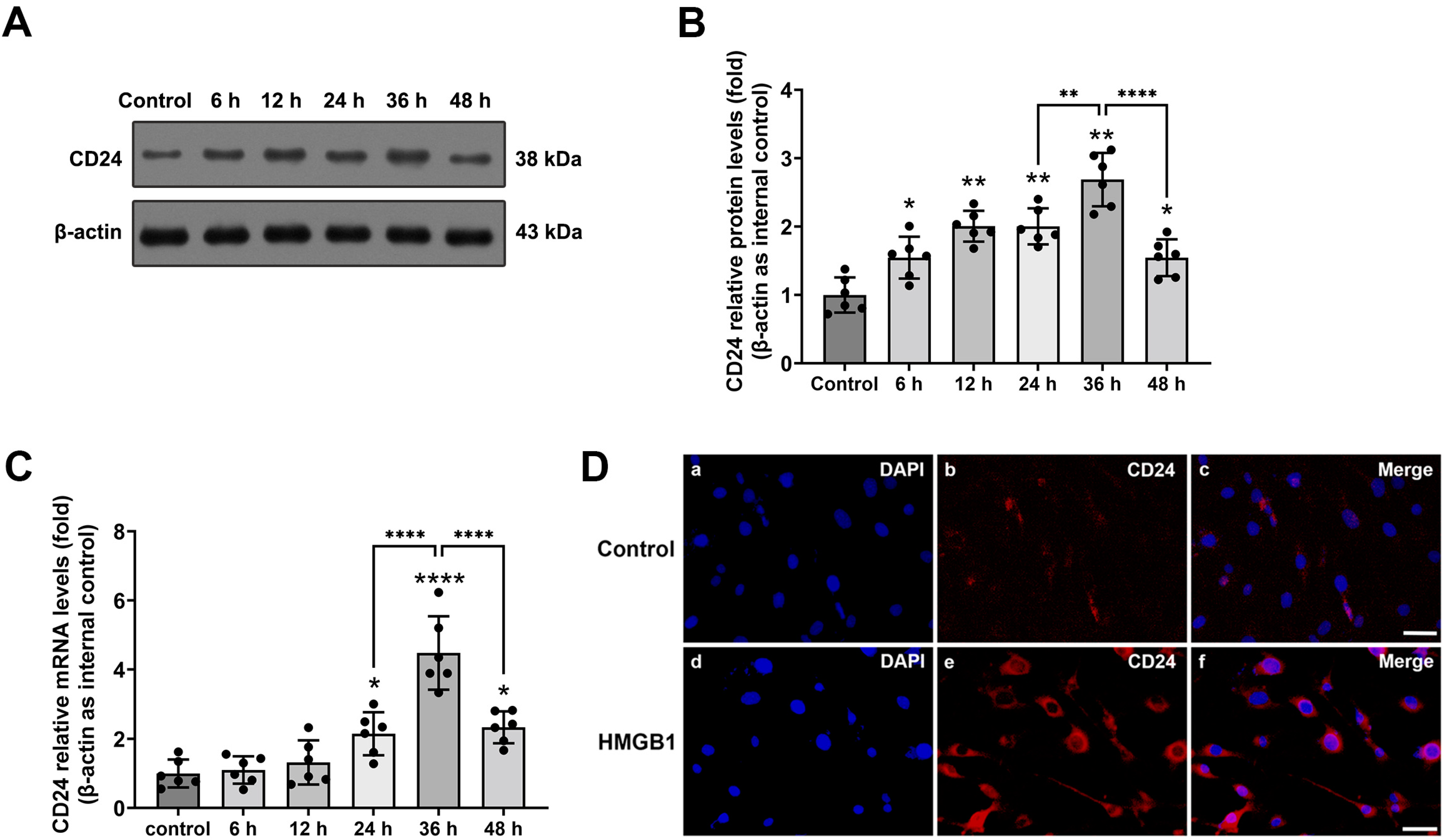 Brainsci 12 01119 g001